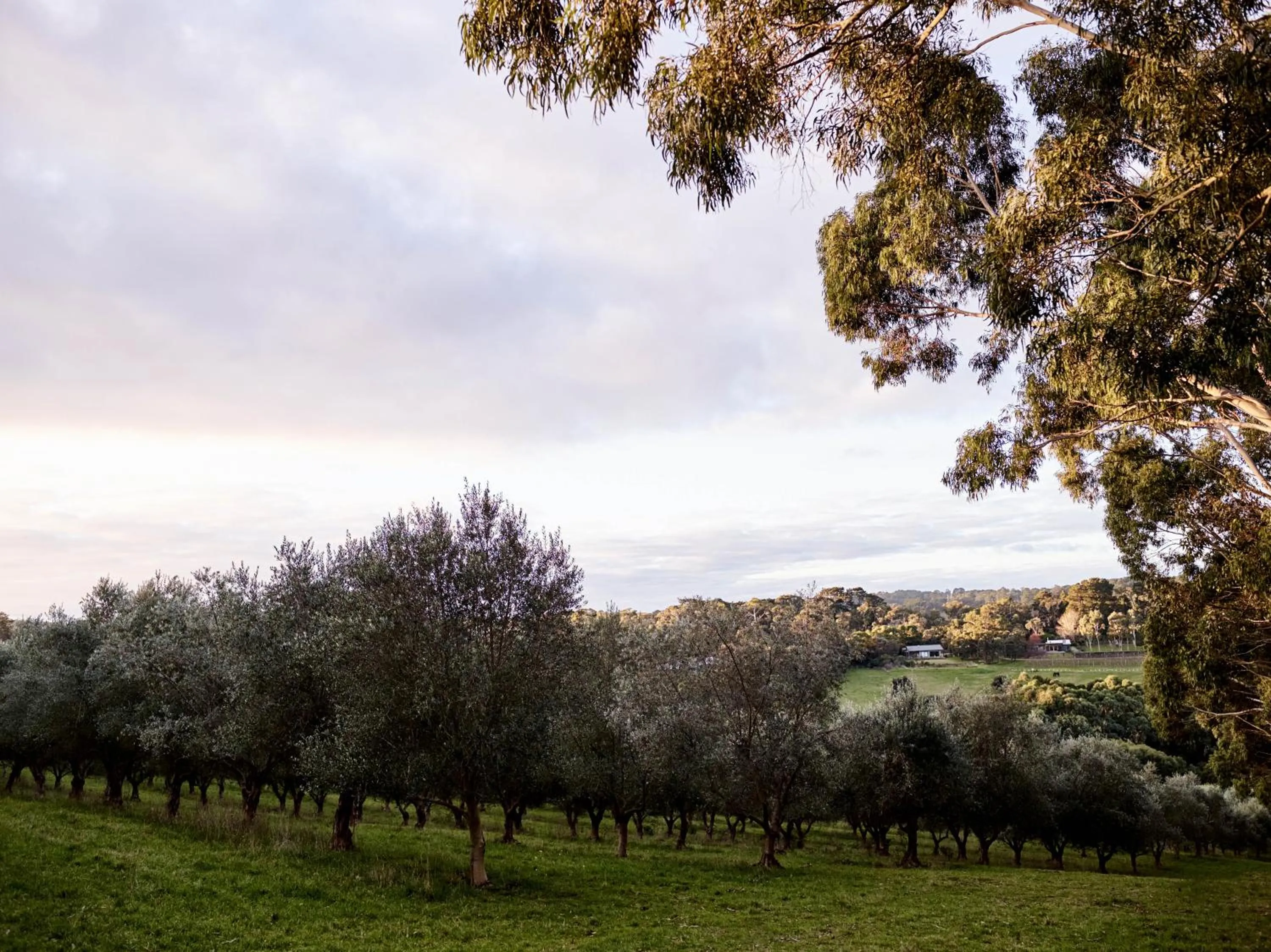 On site in Hart's Farm
