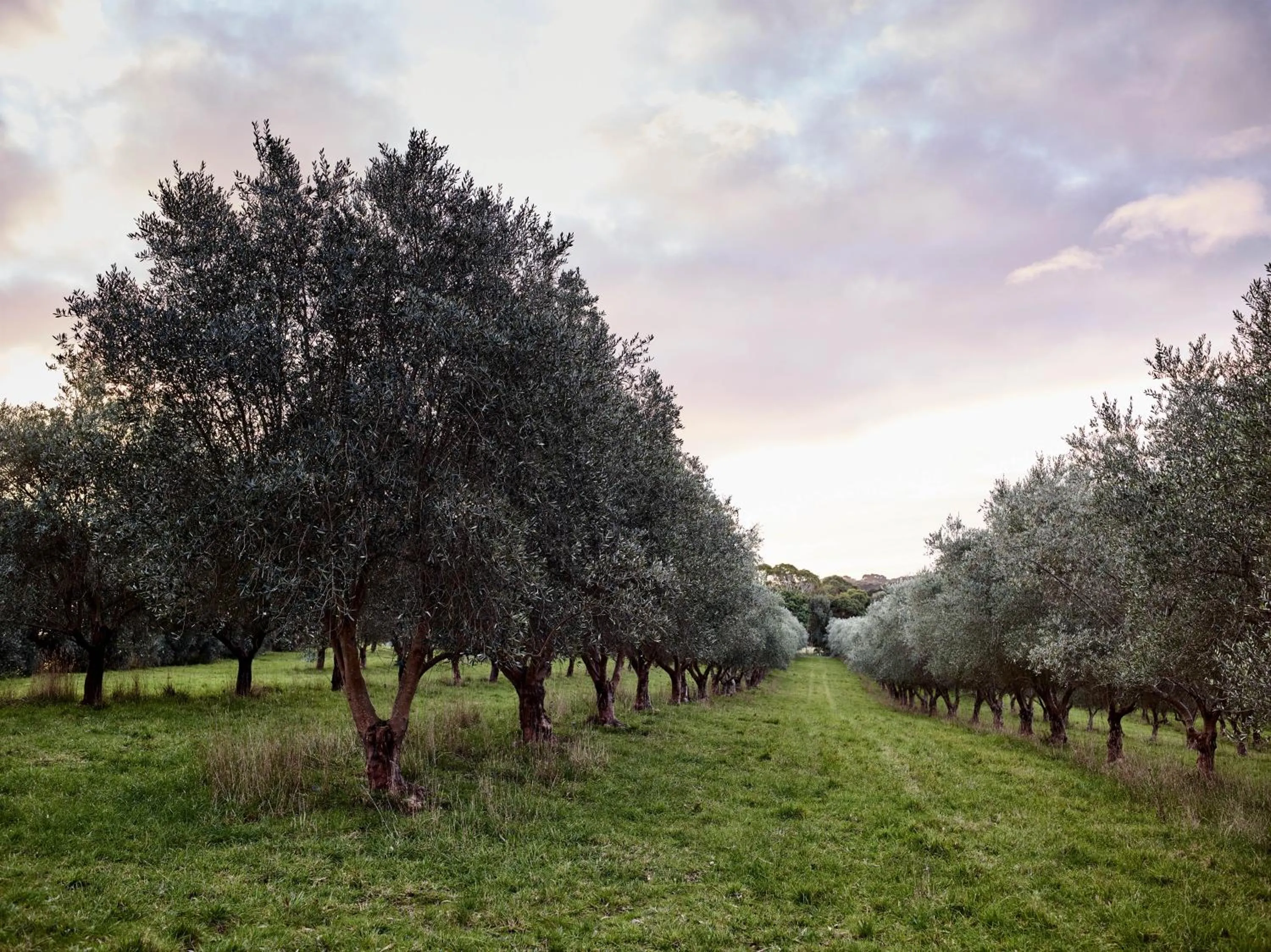 On site in Hart's Farm
