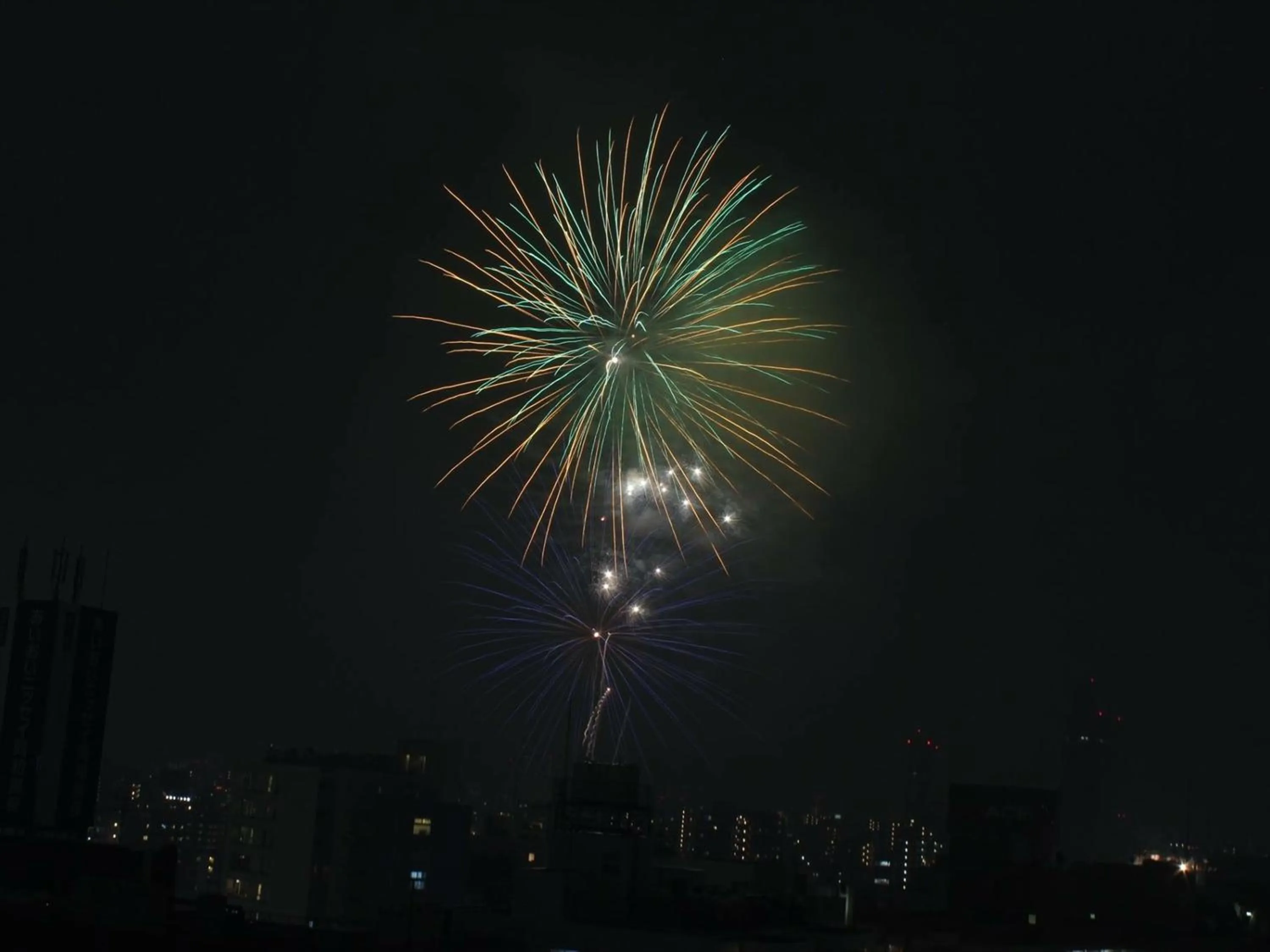View (from property/room) in APA Hotel Asakusa Kaminarimon