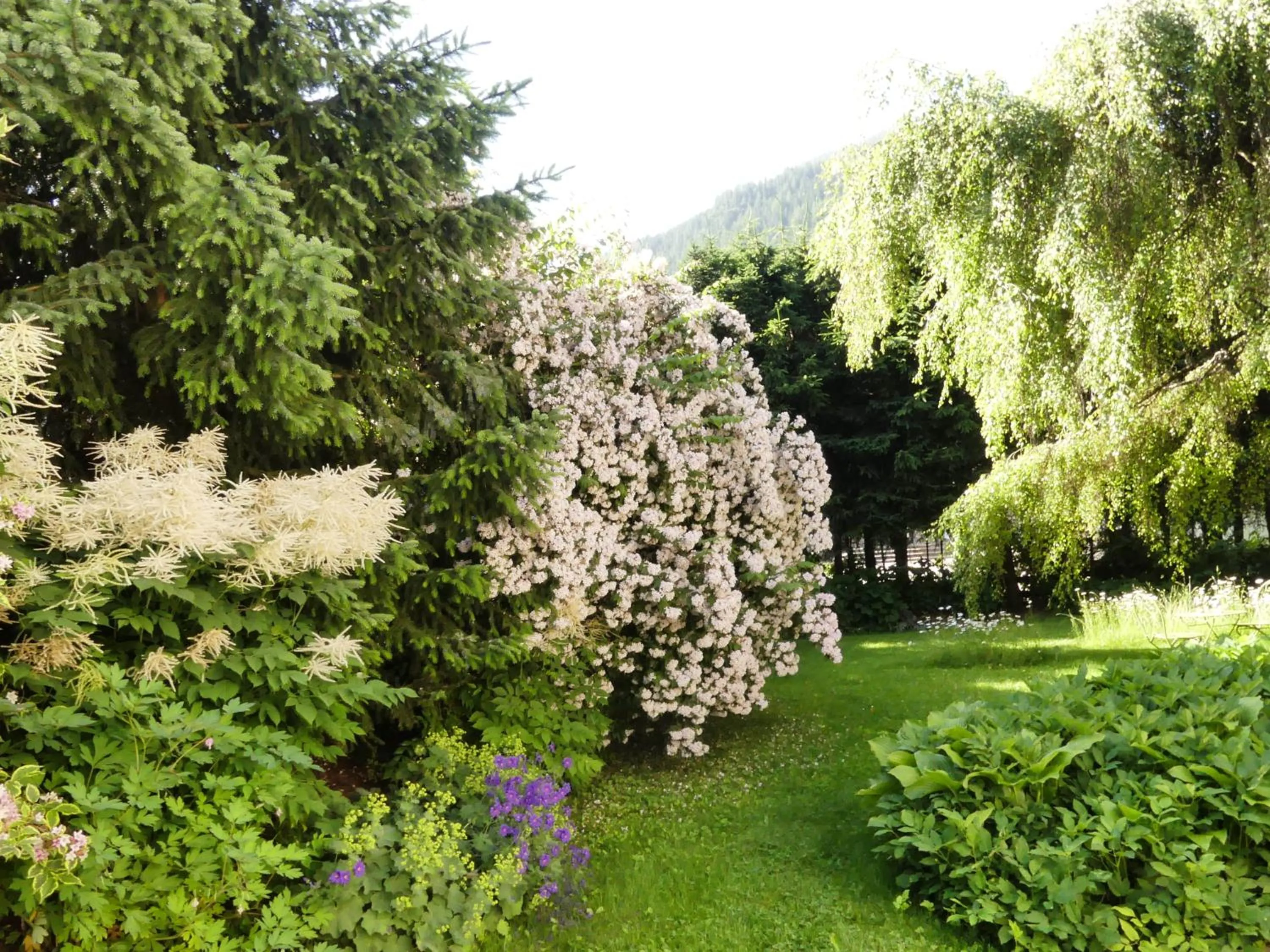 Hiking in Ferienwohnungen Familie Wetzlinger