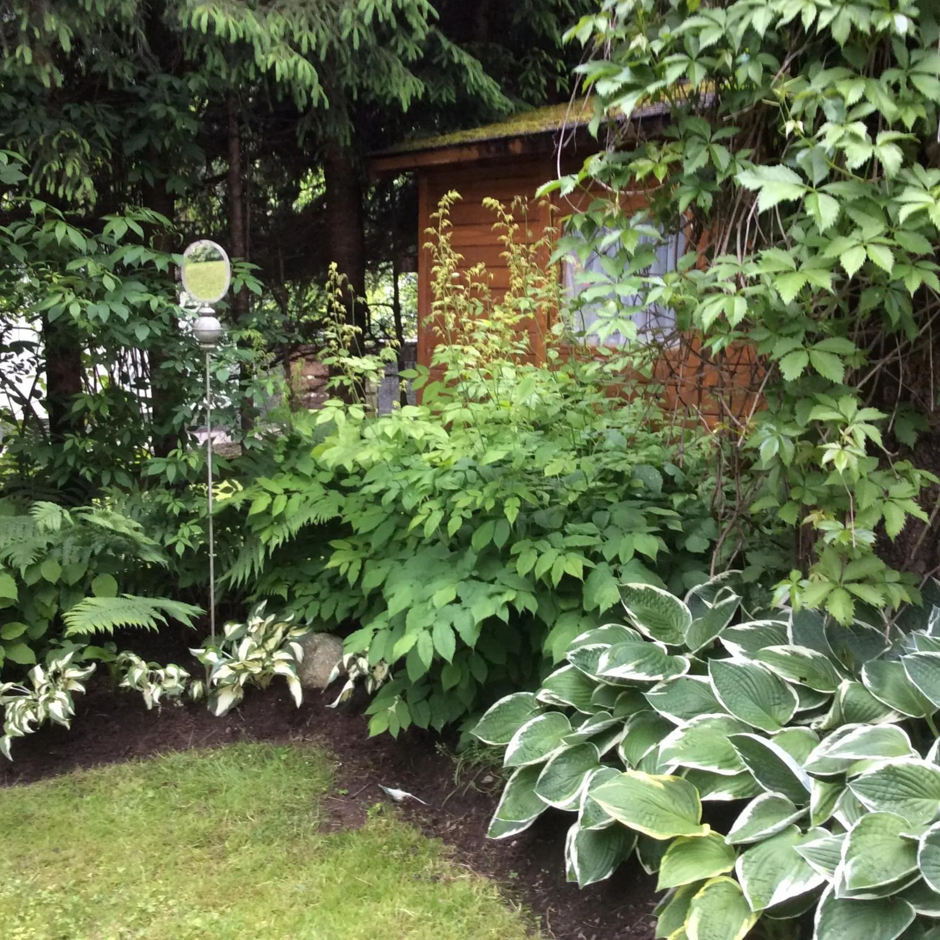 Garden in Ferienwohnungen Familie Wetzlinger
