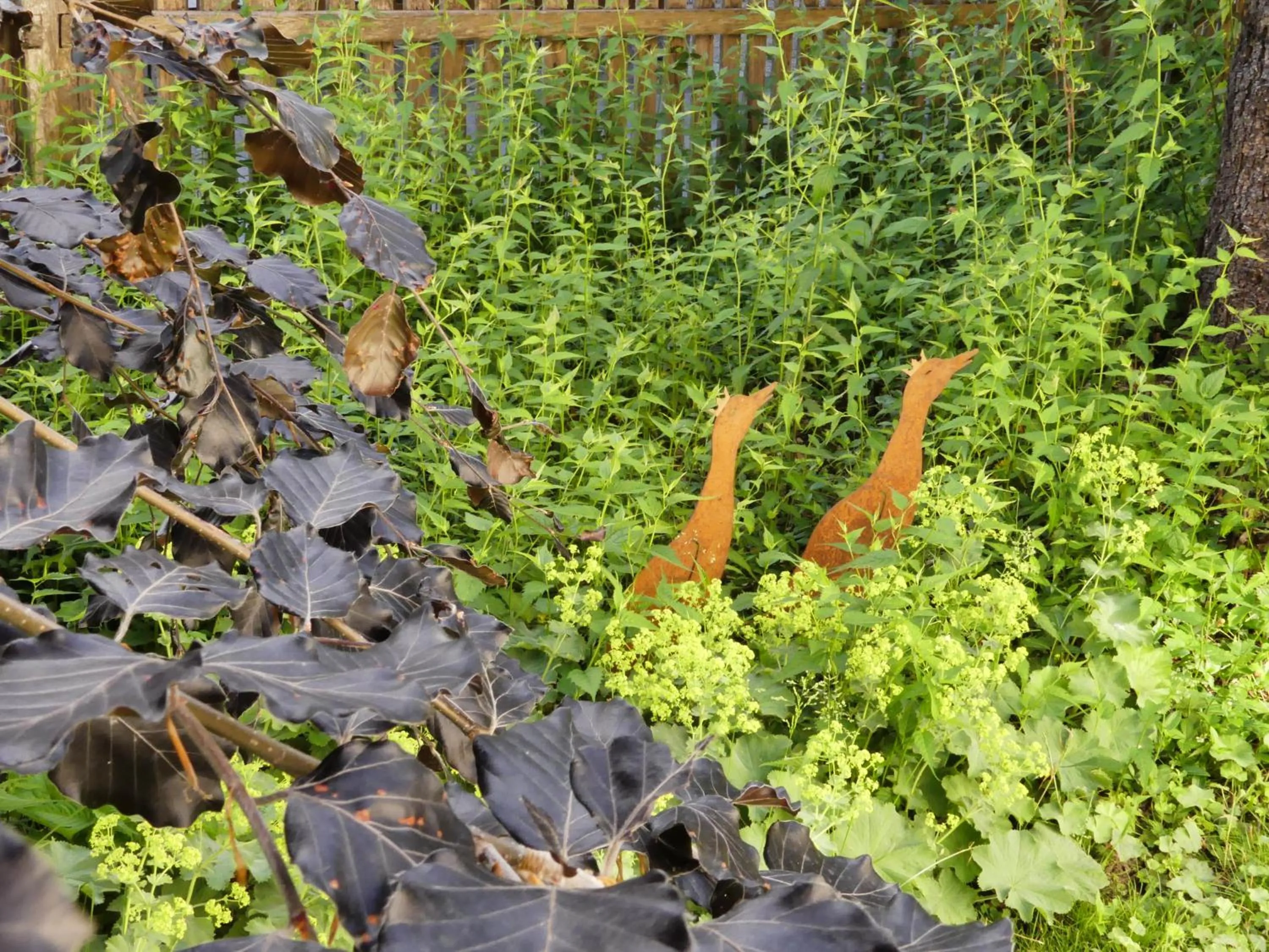 Garden in Ferienwohnungen Familie Wetzlinger