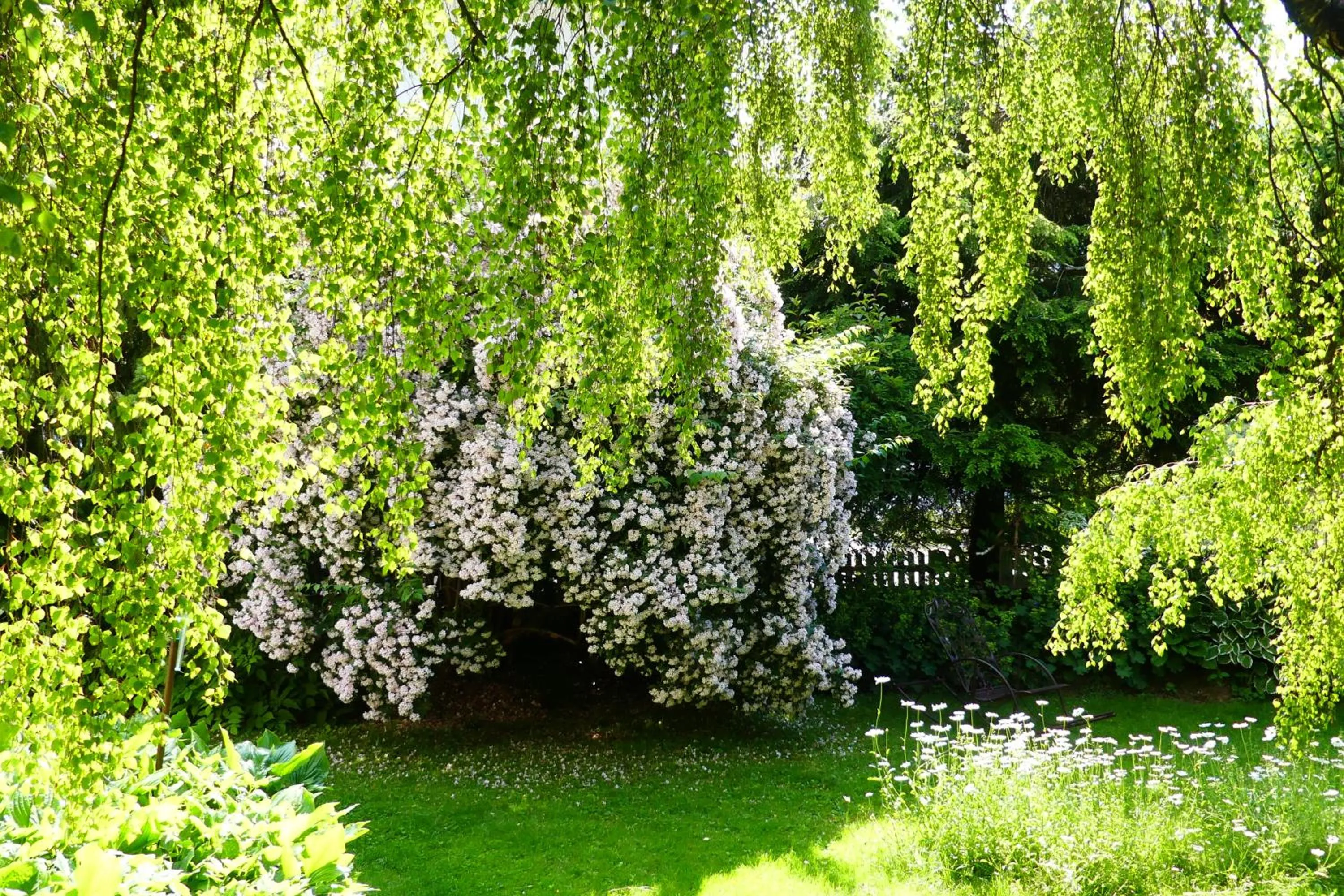 Garden view in Ferienwohnungen Familie Wetzlinger