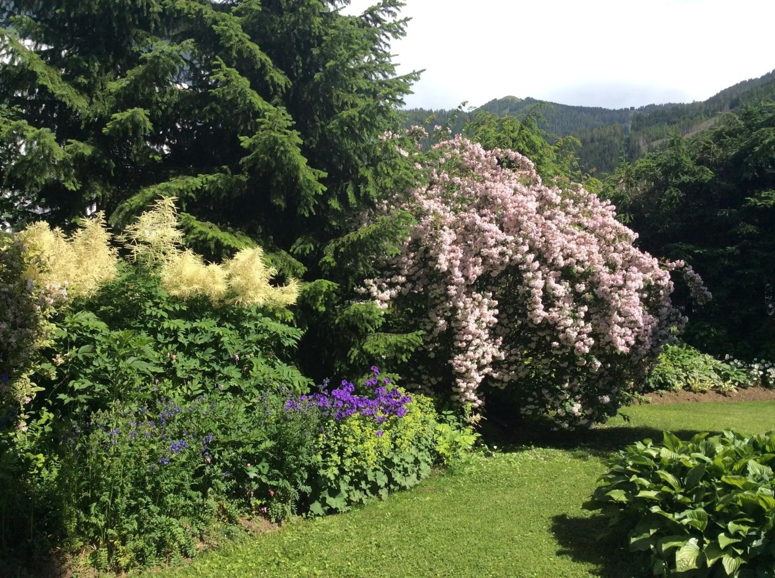 Garden view in Ferienwohnungen Familie Wetzlinger