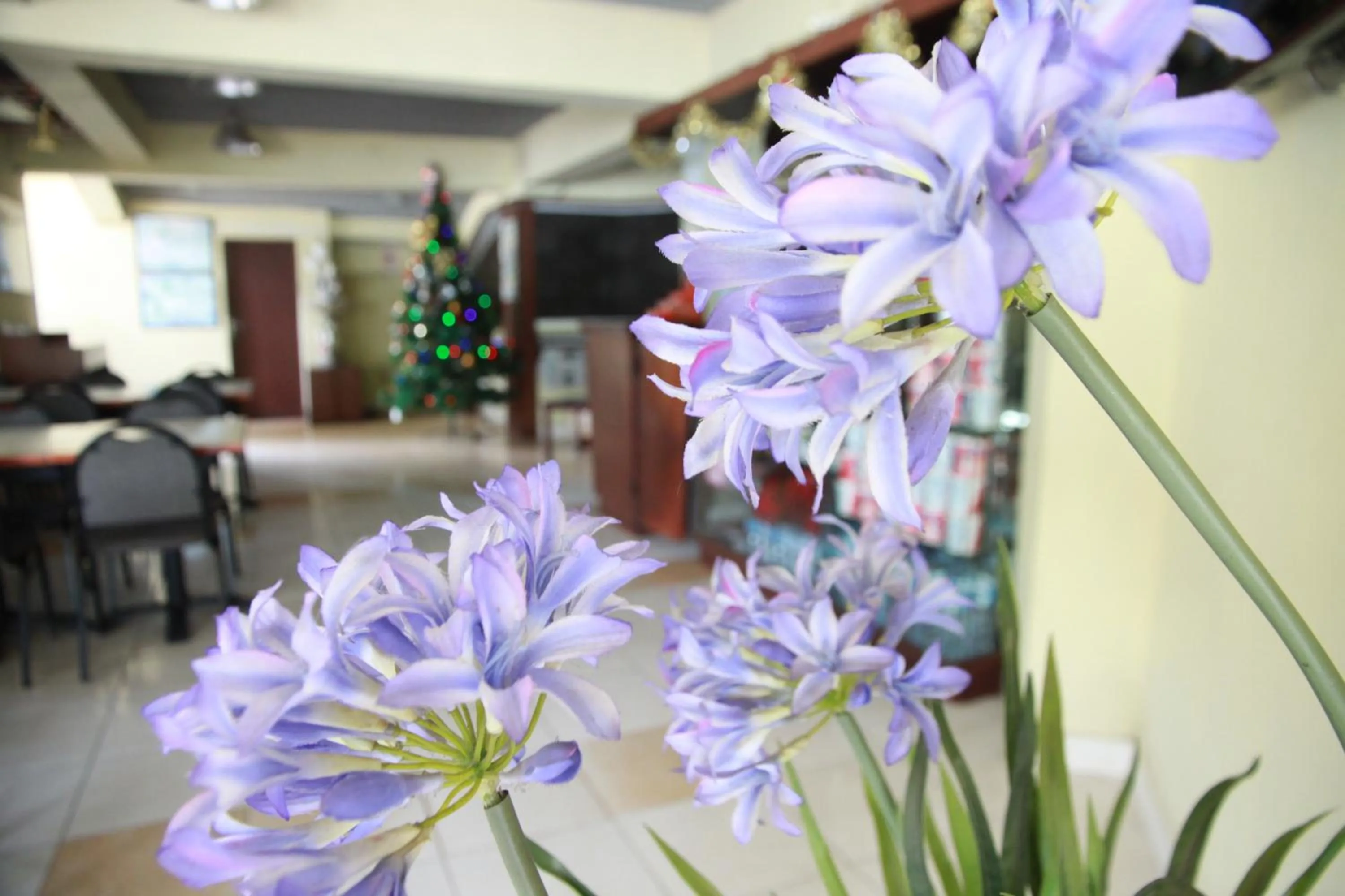 Lobby or reception in Pandu Lakeside Hotel Parapat