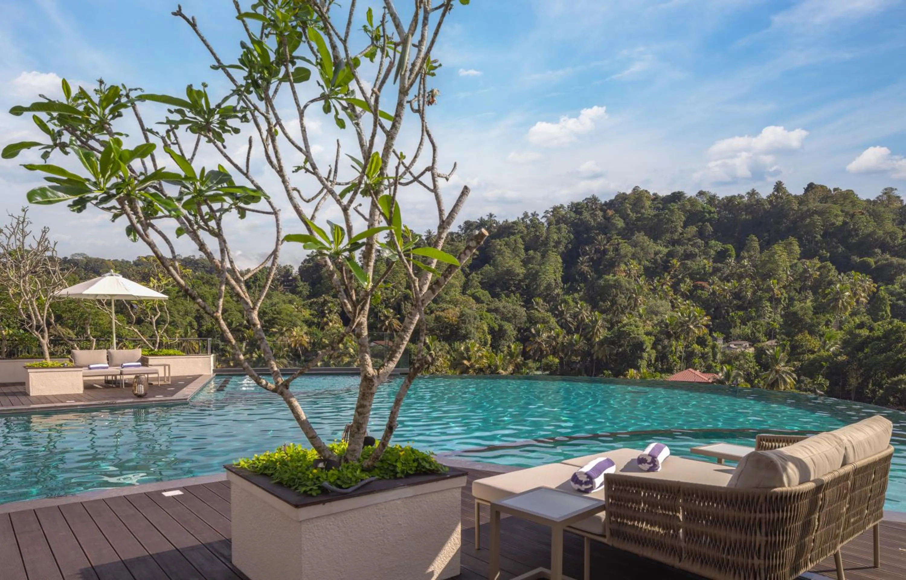 Natural landscape in The Golden Crown Hotel