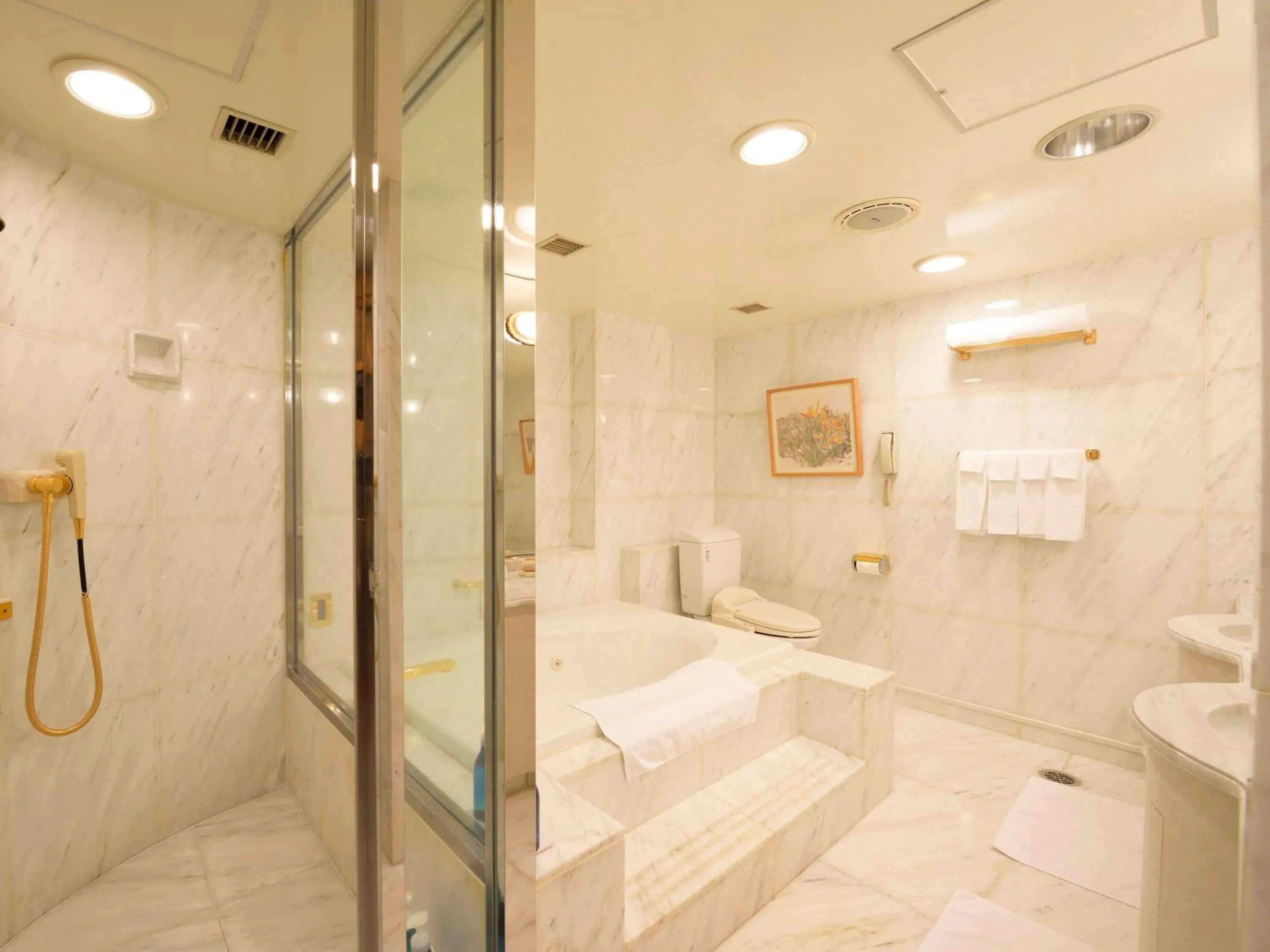 Bathroom in Narita Tobu Hotel Airport