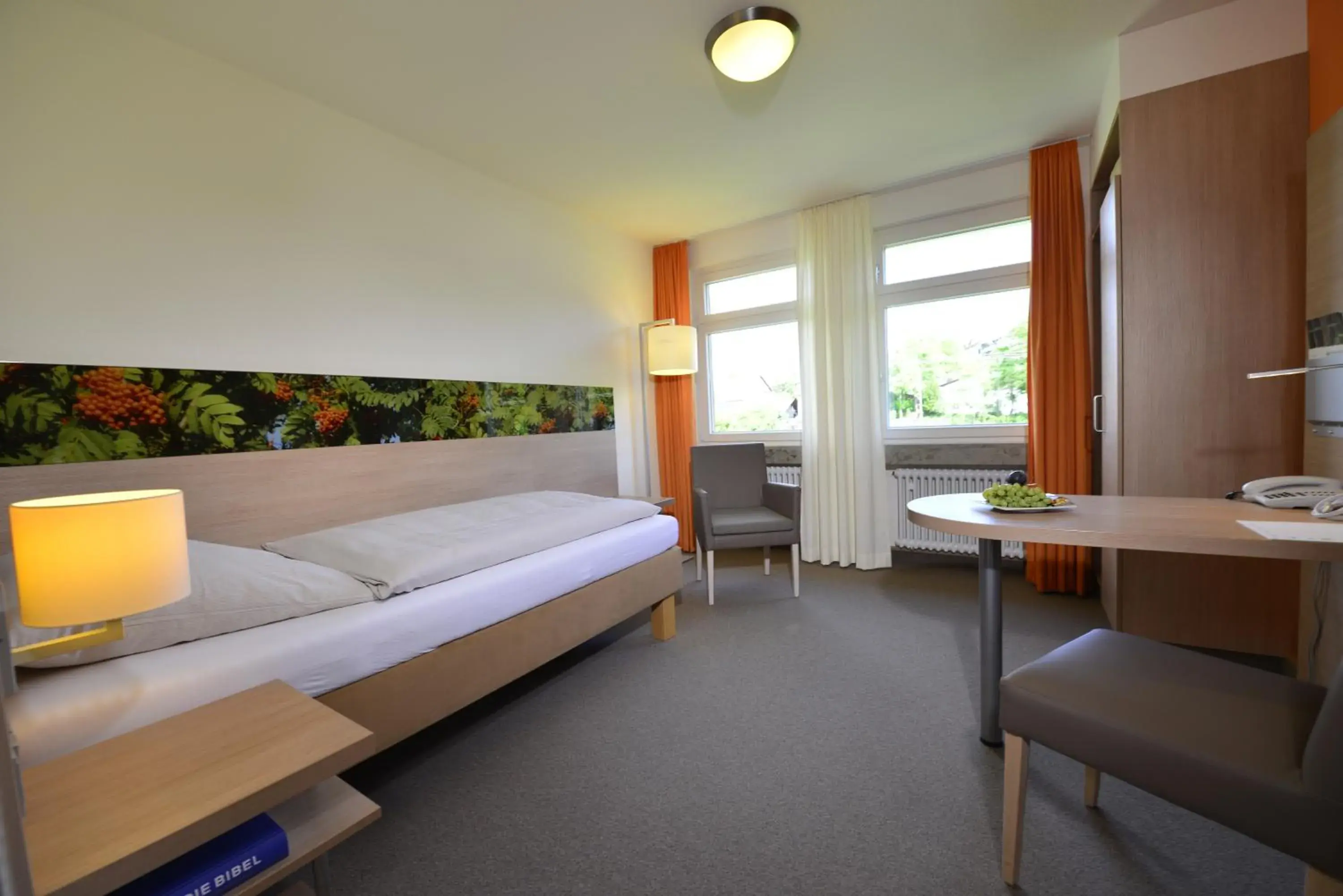 Single Room in Tagungszentrum Schmerlenbach Single Room in Tagungszentrum Schmerlenbach