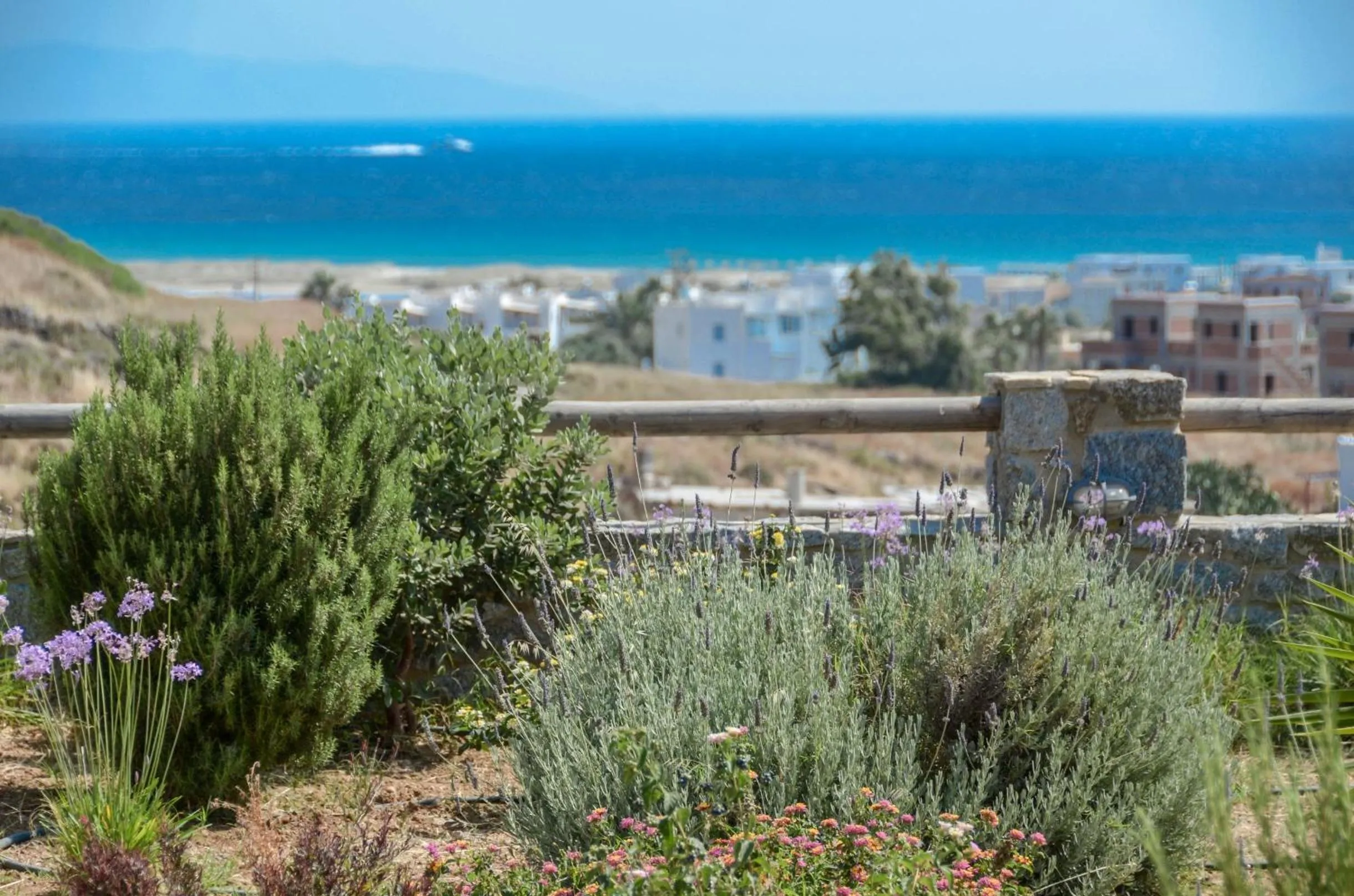 Summer in Naxos Luxury Villas