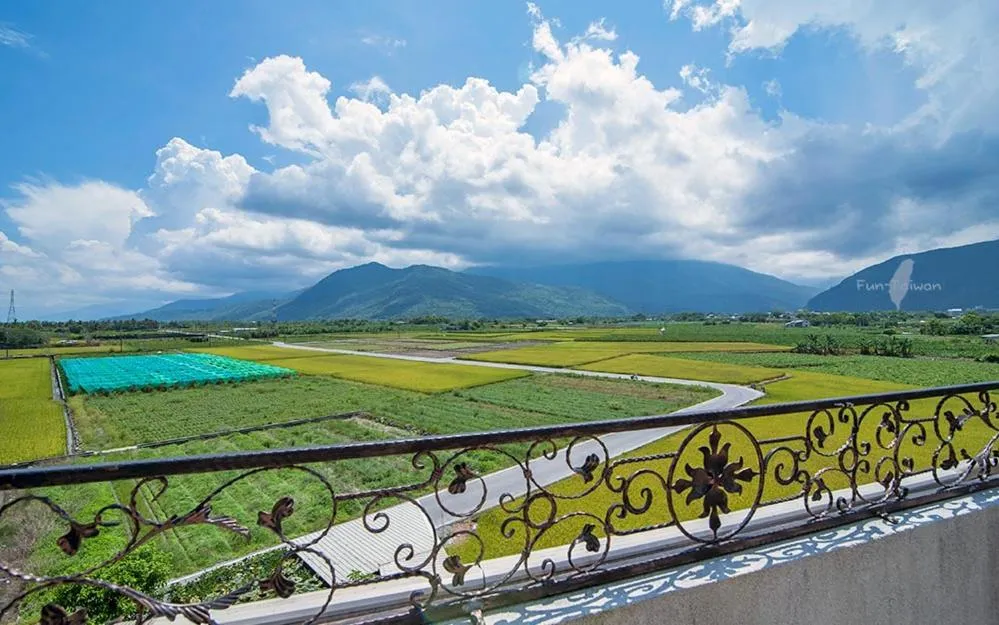 Bird's eye view in A bluegrass music