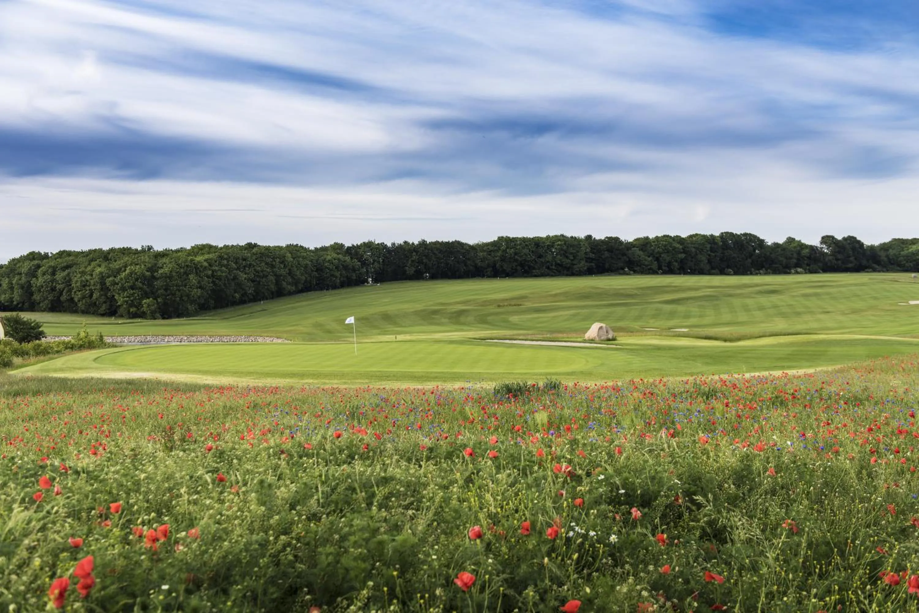 Golfcourse in Panorama Hotel Lohme