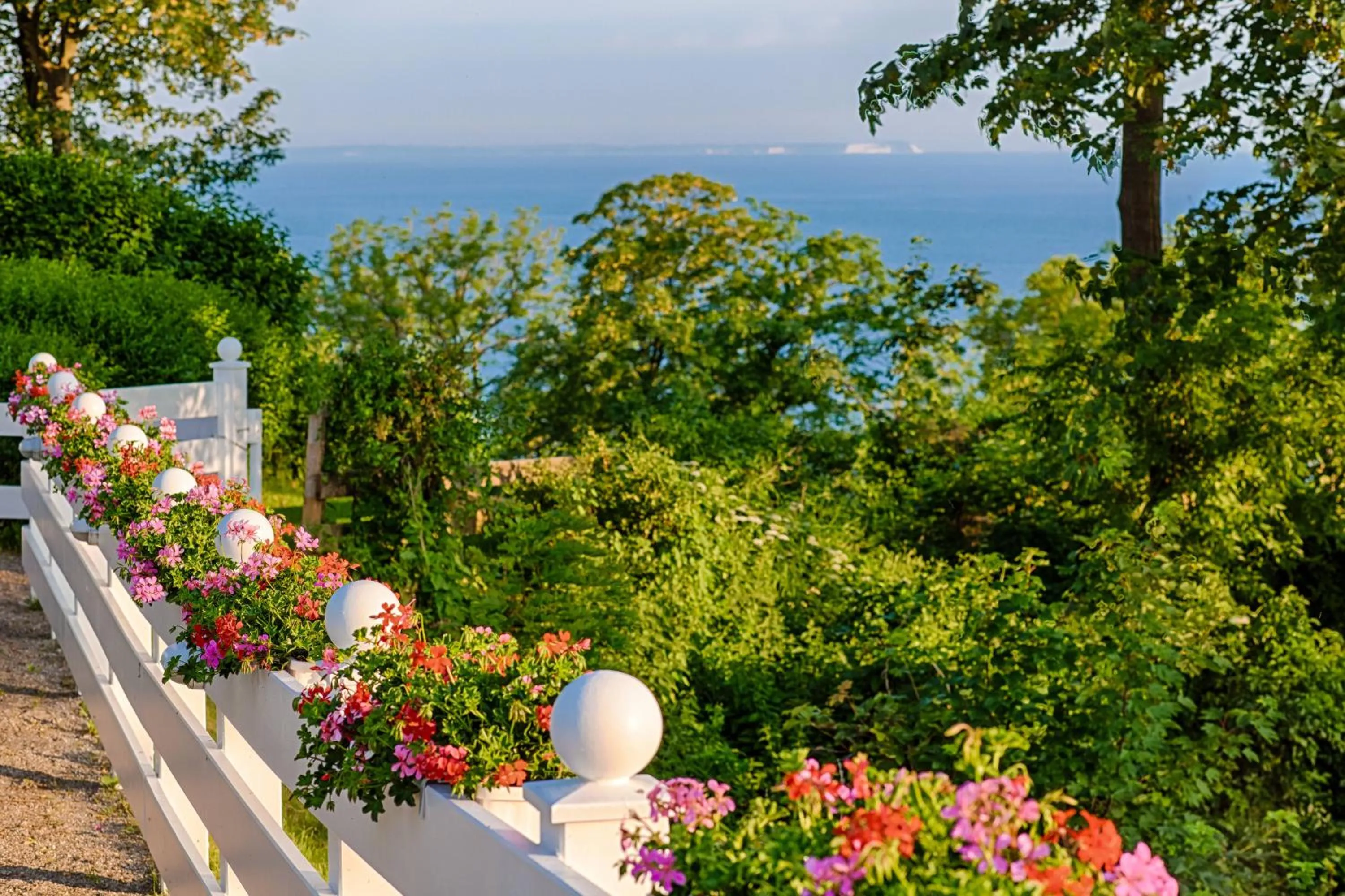 Patio in Panorama Hotel Lohme