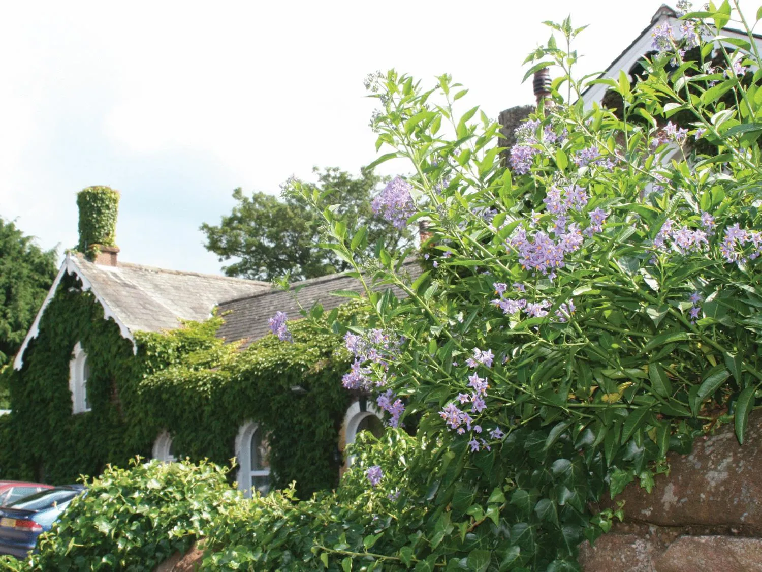Property building in The Brantwood Hotel