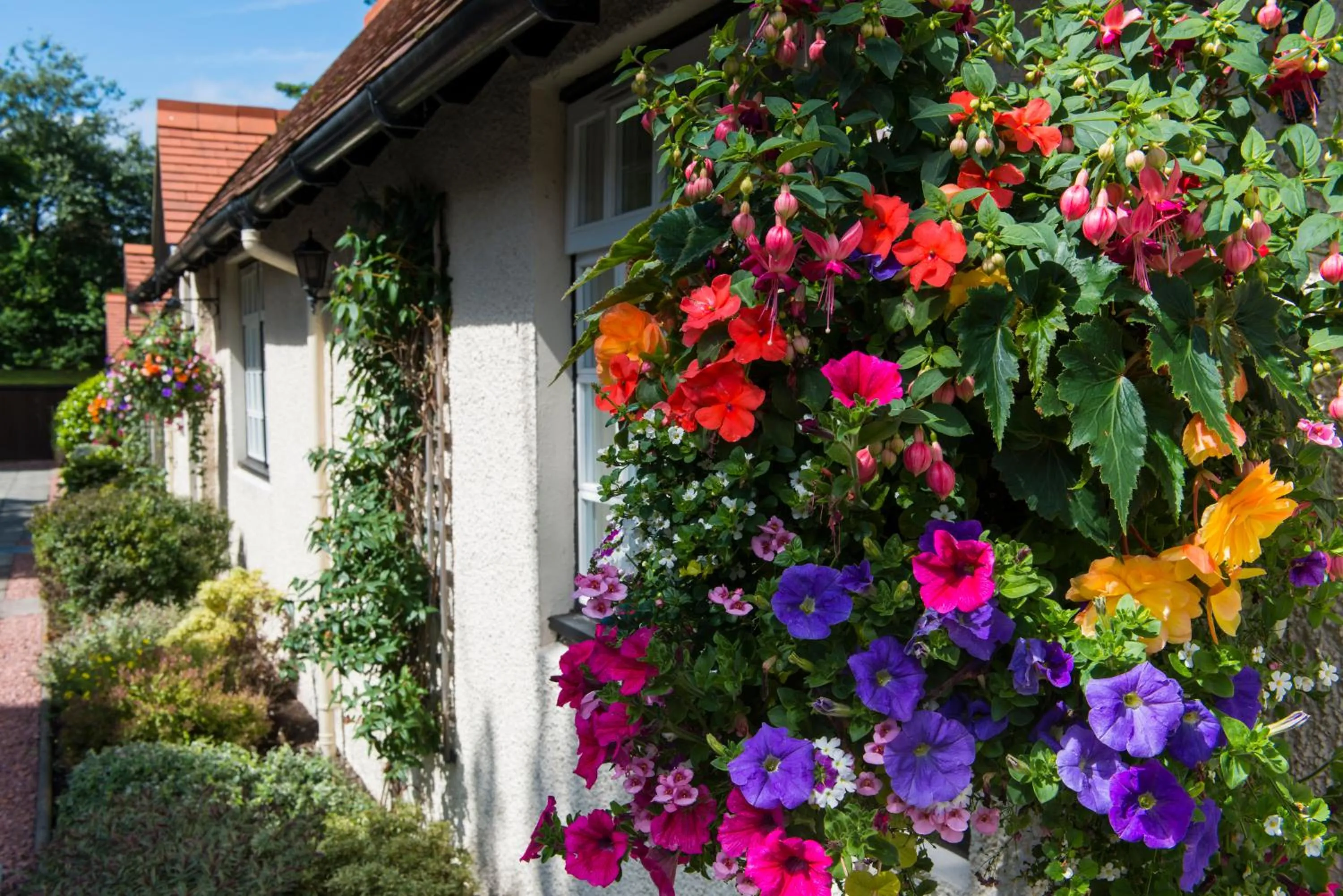 Garden view in Piersland House