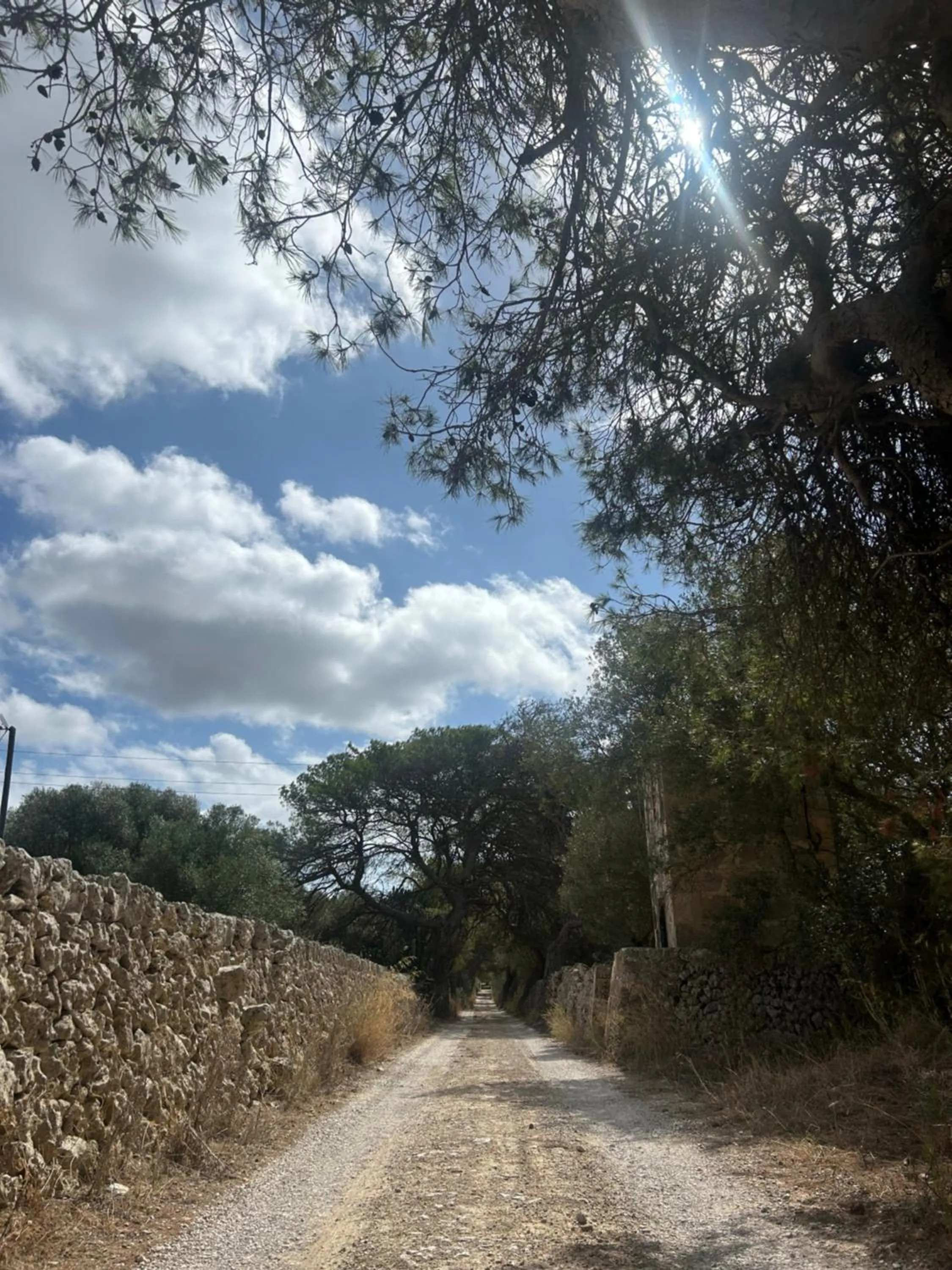 Natural landscape in Agroturismo Matxani Gran
