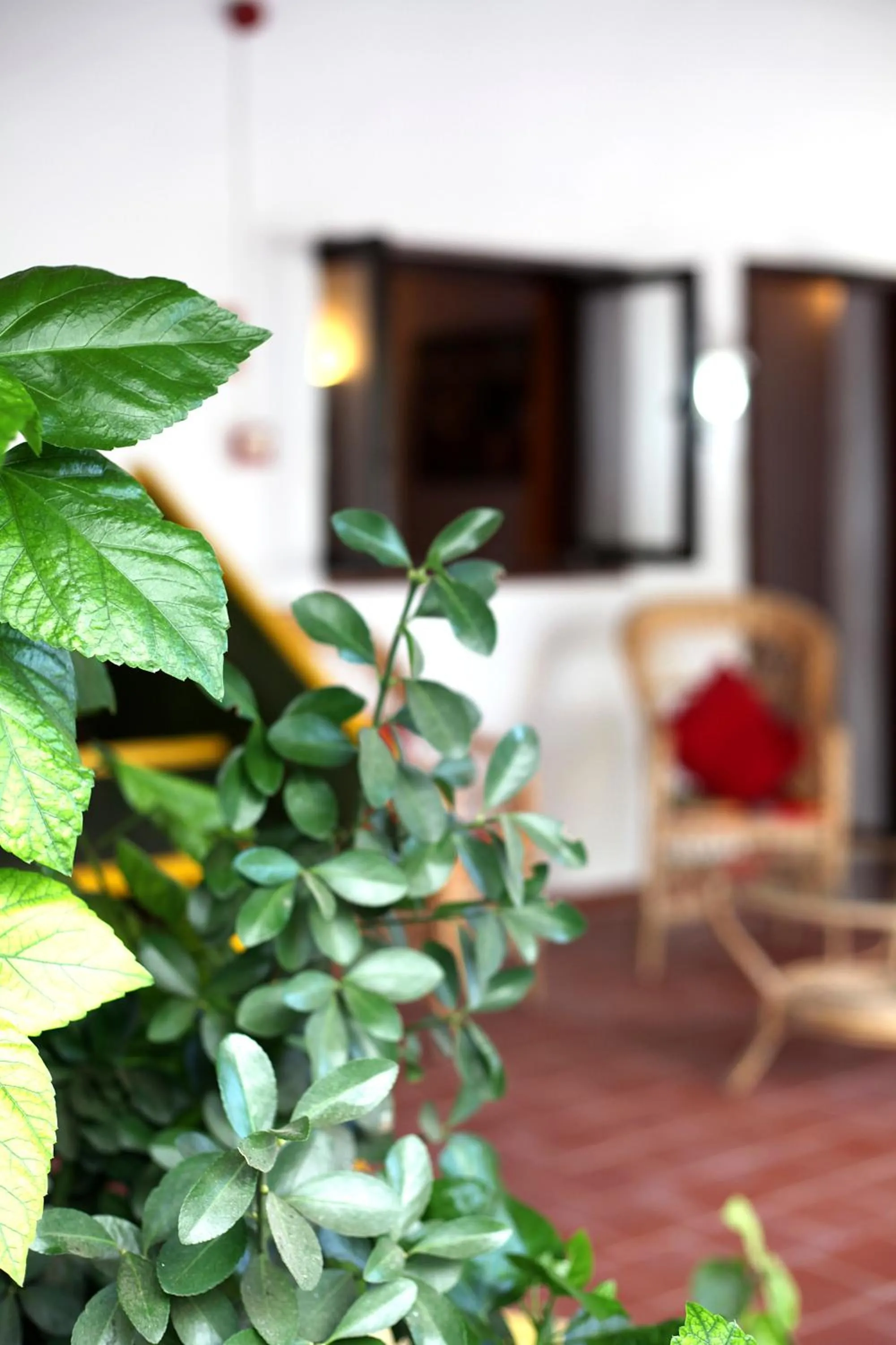 Patio in Agroturismo Matxani Gran