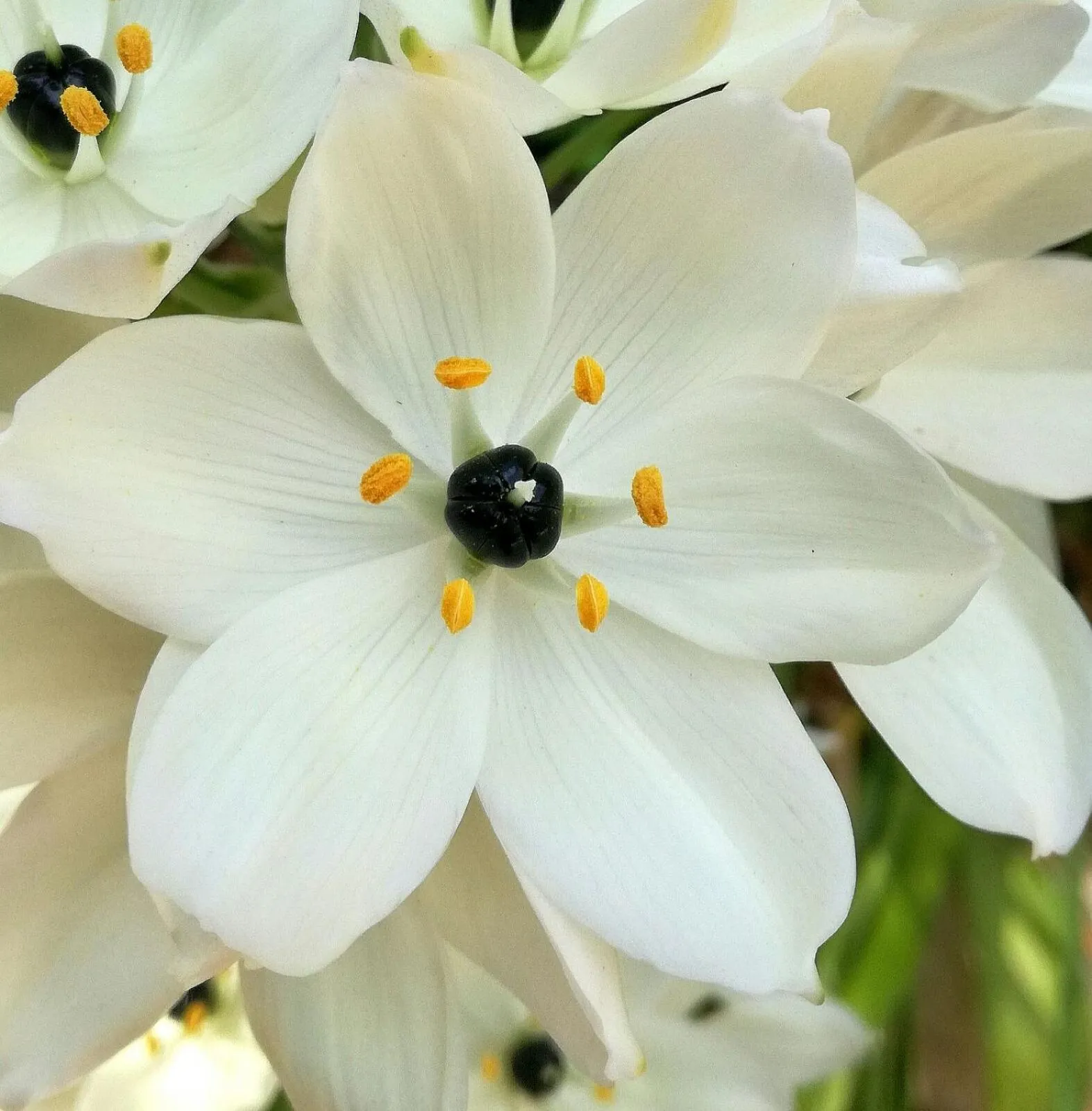 Natural landscape in Agroturismo Matxani Gran