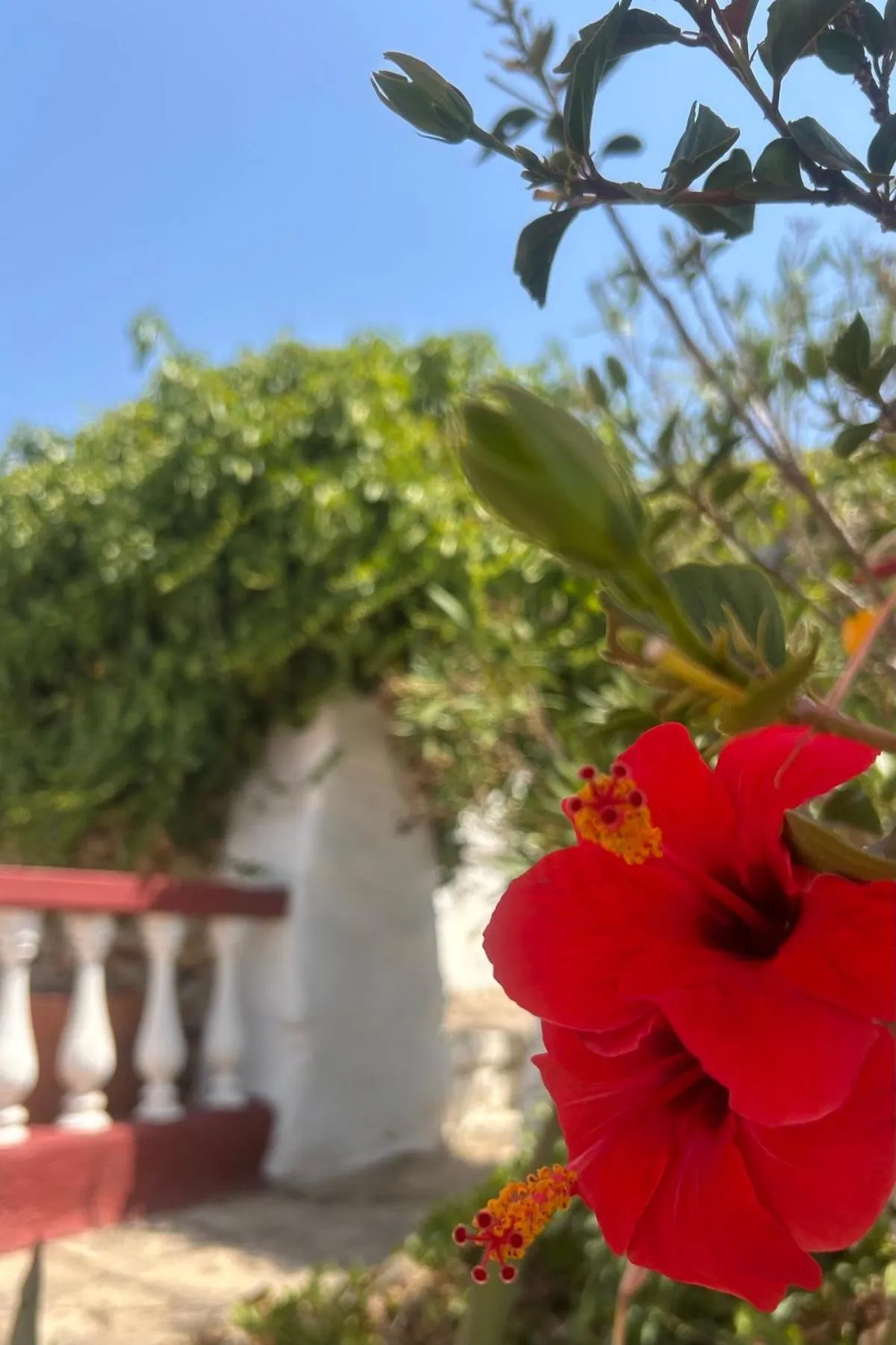 Off site in Agroturismo Matxani Gran