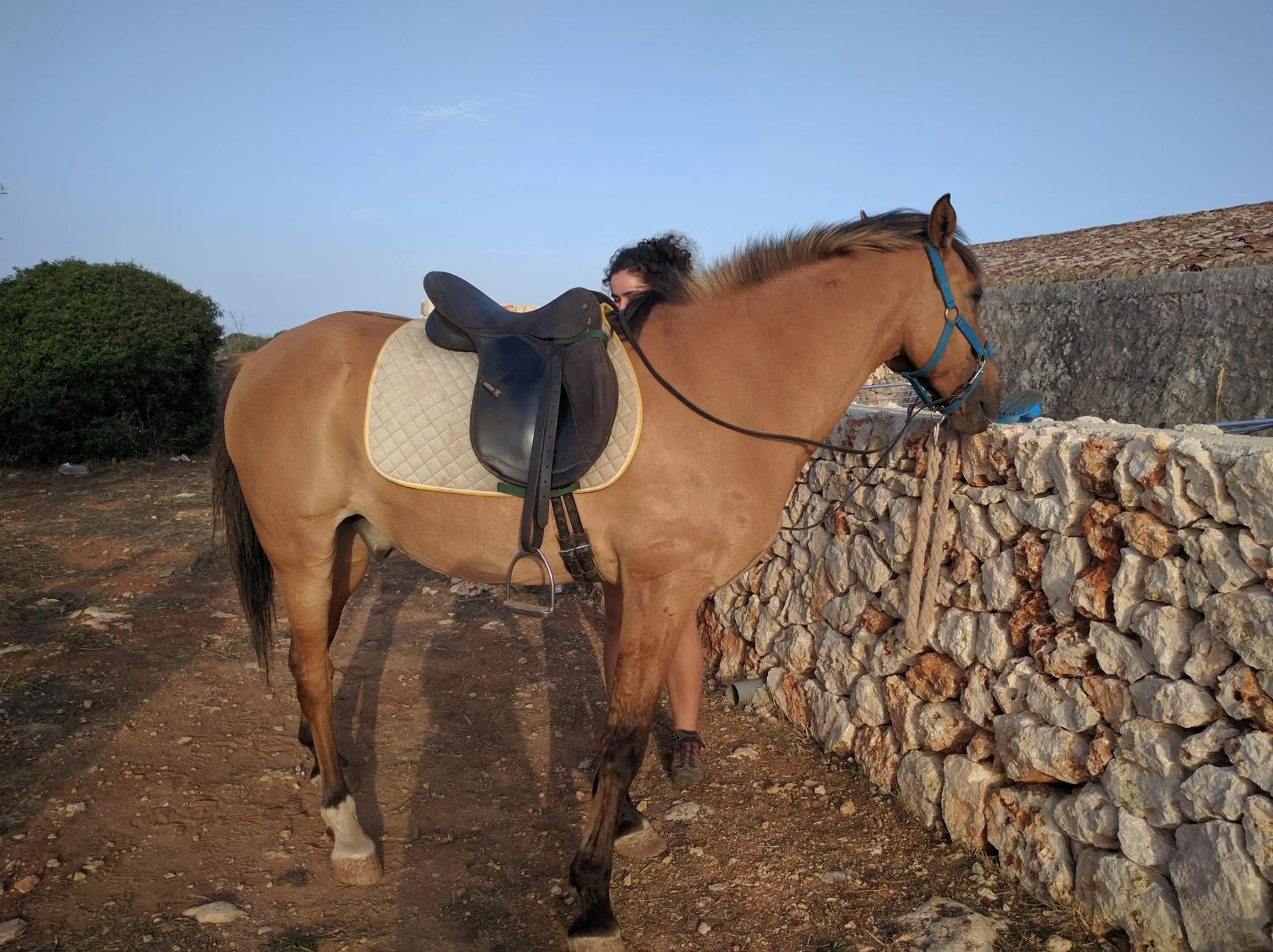 Activities in Agroturismo Matxani Gran