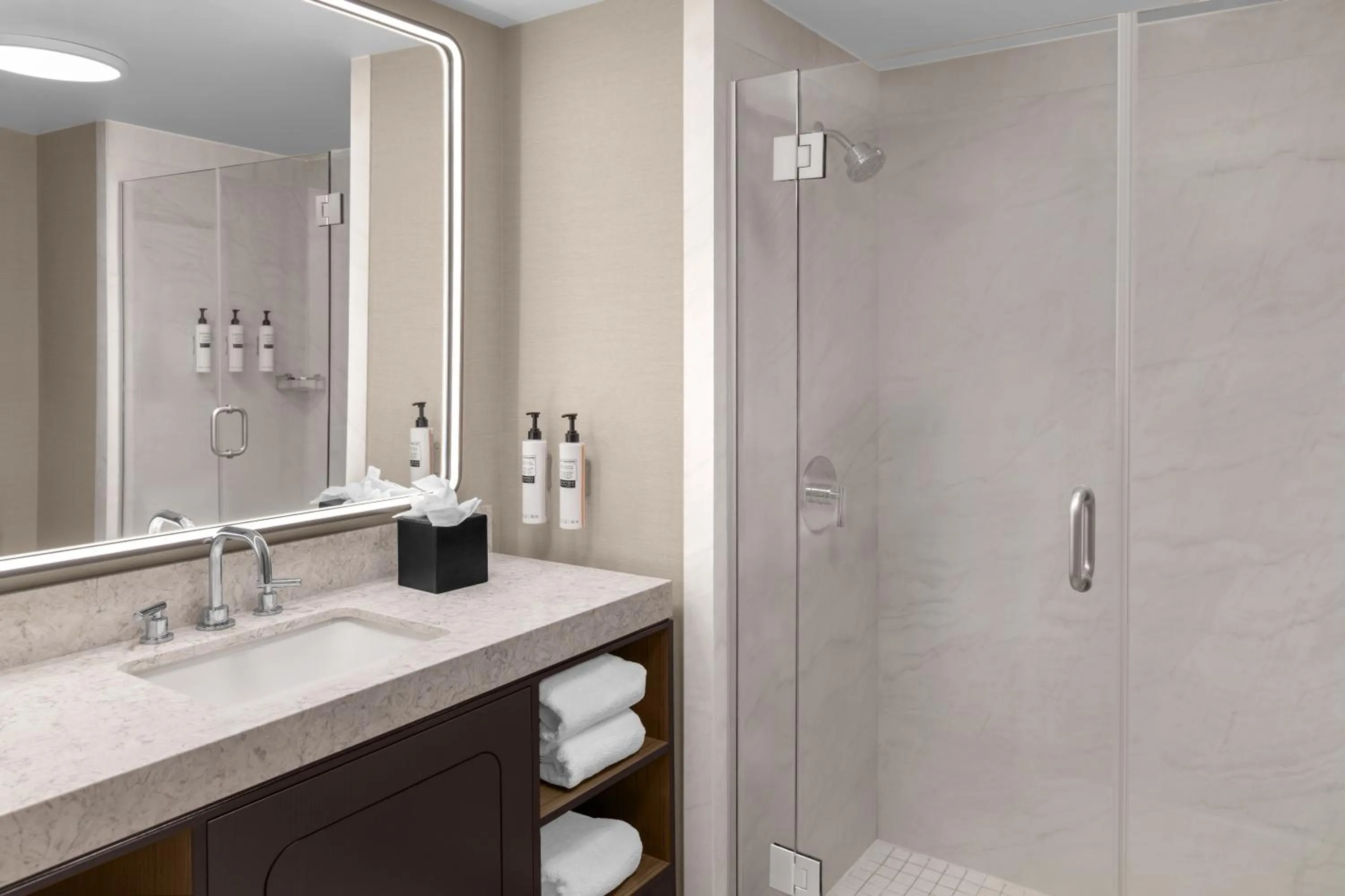 Shower in Embassy Suites San Antonio Riverwalk-Downtown