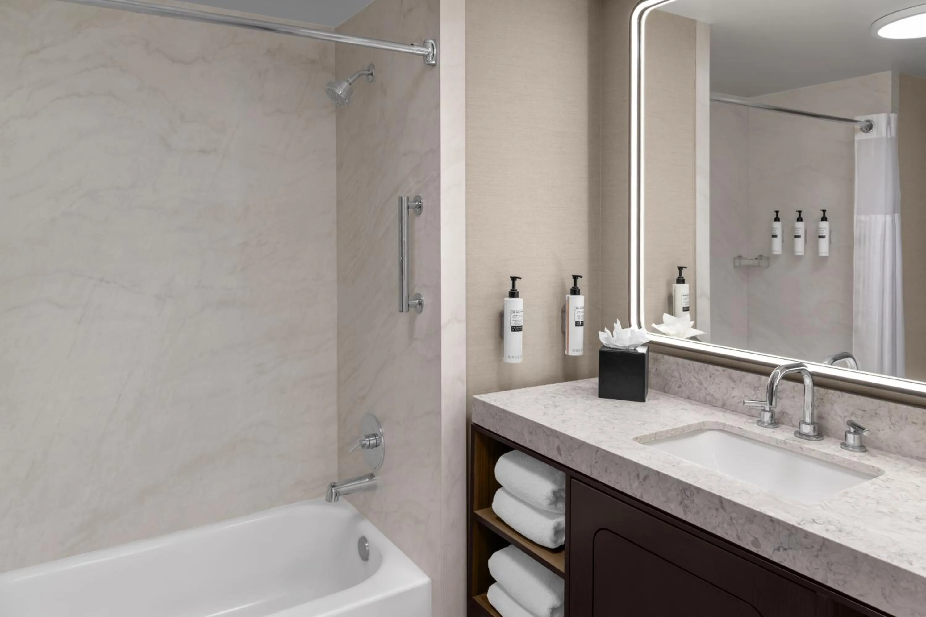 Bathroom in Embassy Suites San Antonio Riverwalk-Downtown