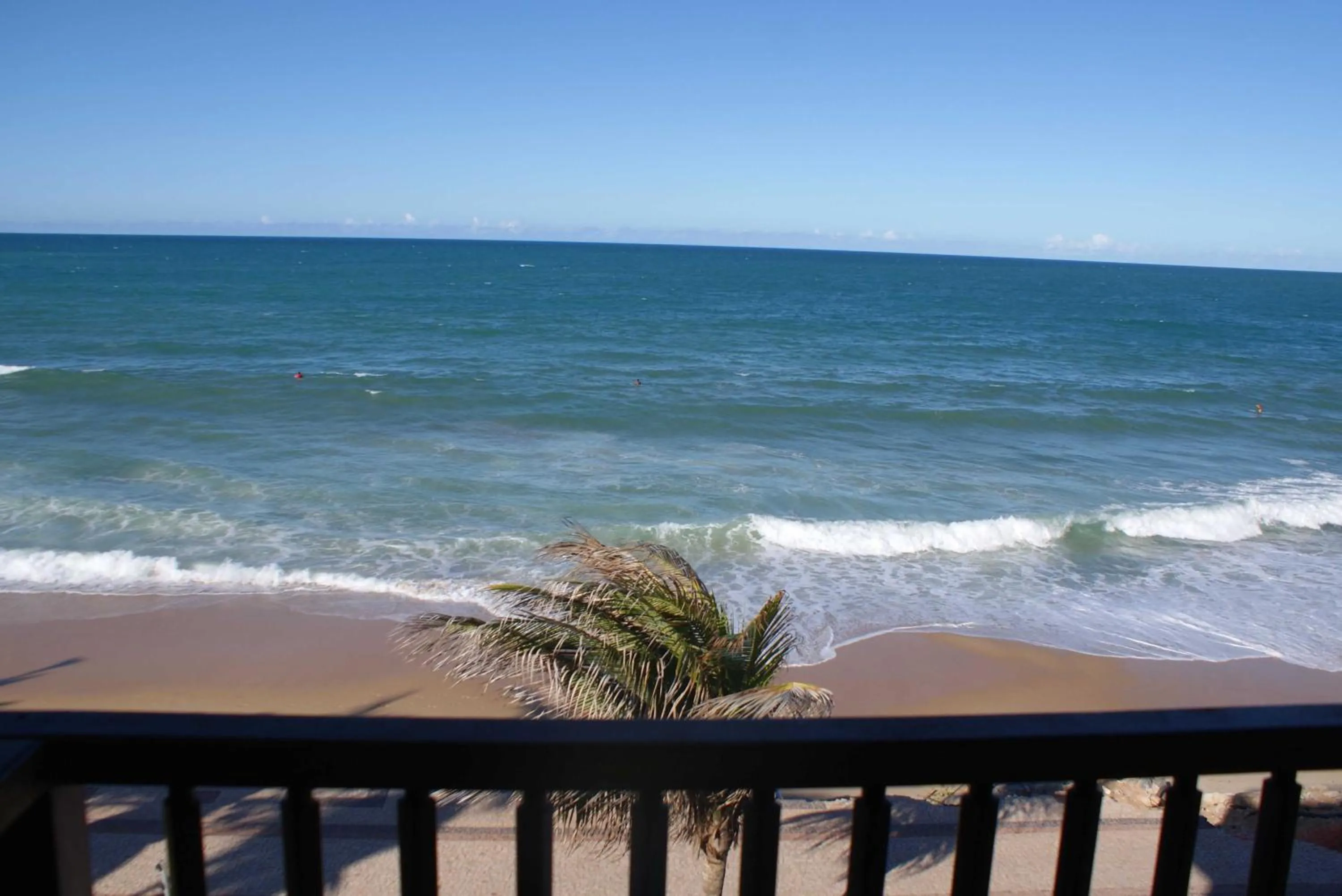 Balcony/Terrace in Blue Marlin Apartments