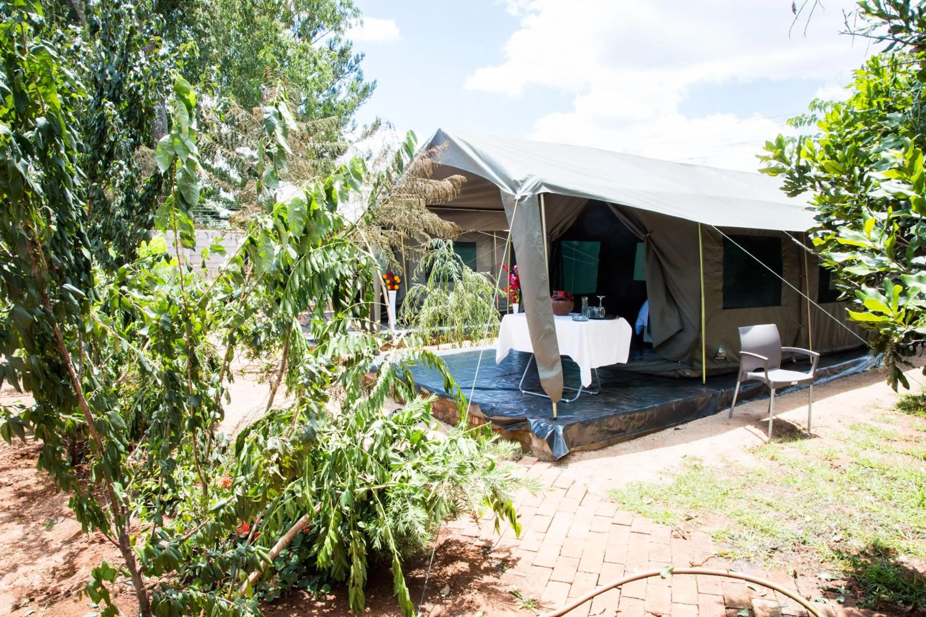 Garden in Mt Pleasant Bed and Breakfast Ltd