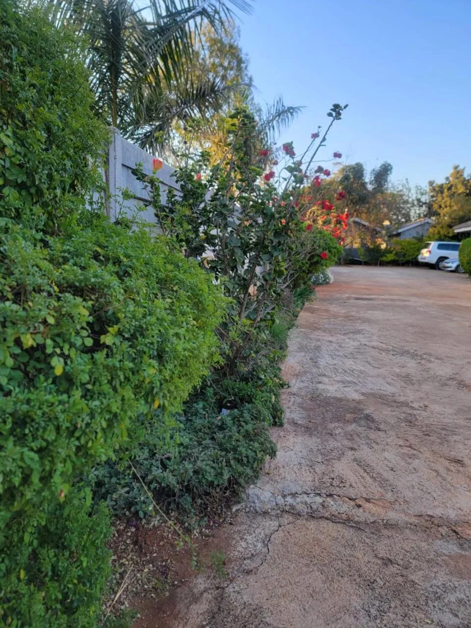 Mt Pleasant Bed and Breakfast Ltd