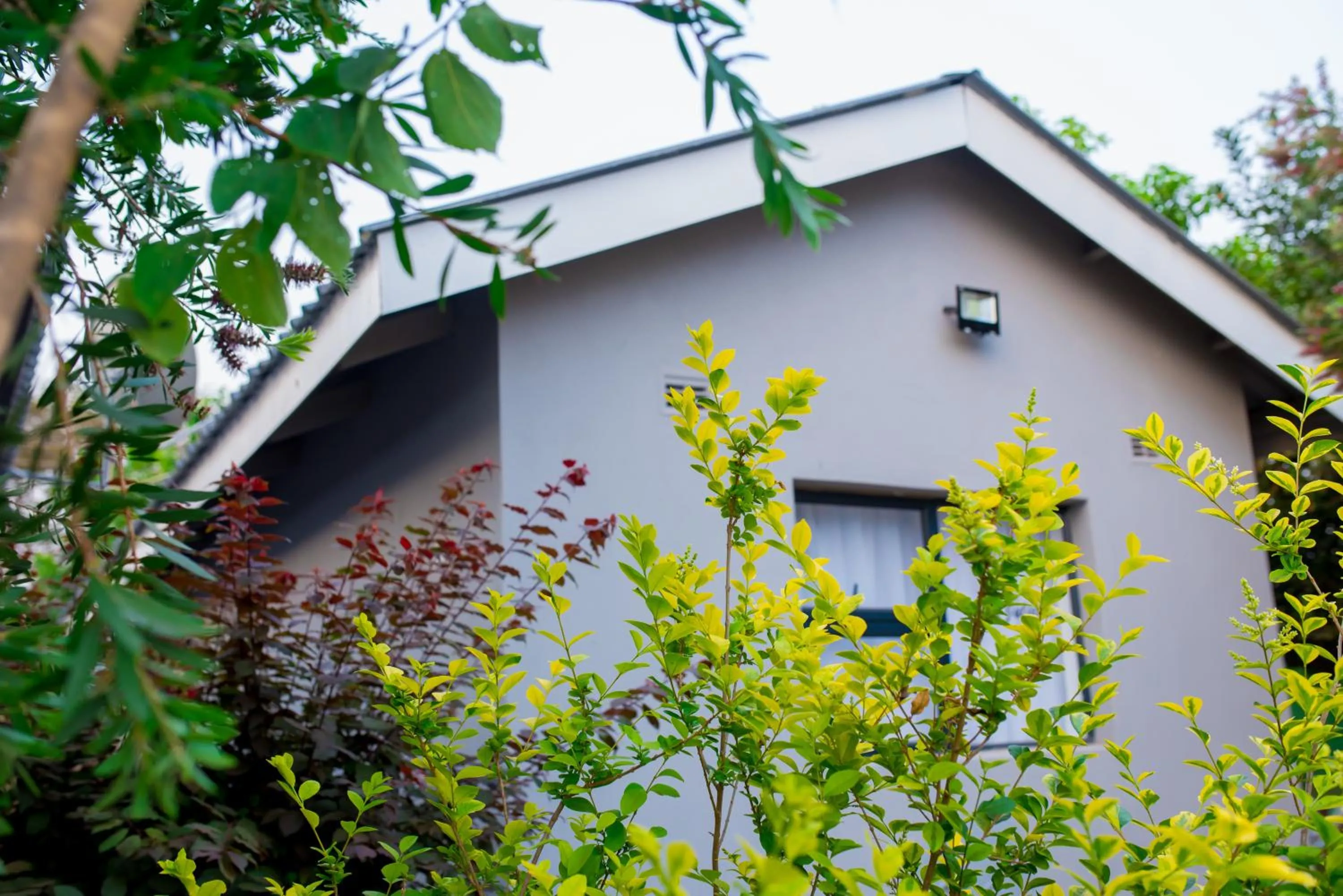 Property building in Mt Pleasant Bed and Breakfast Ltd