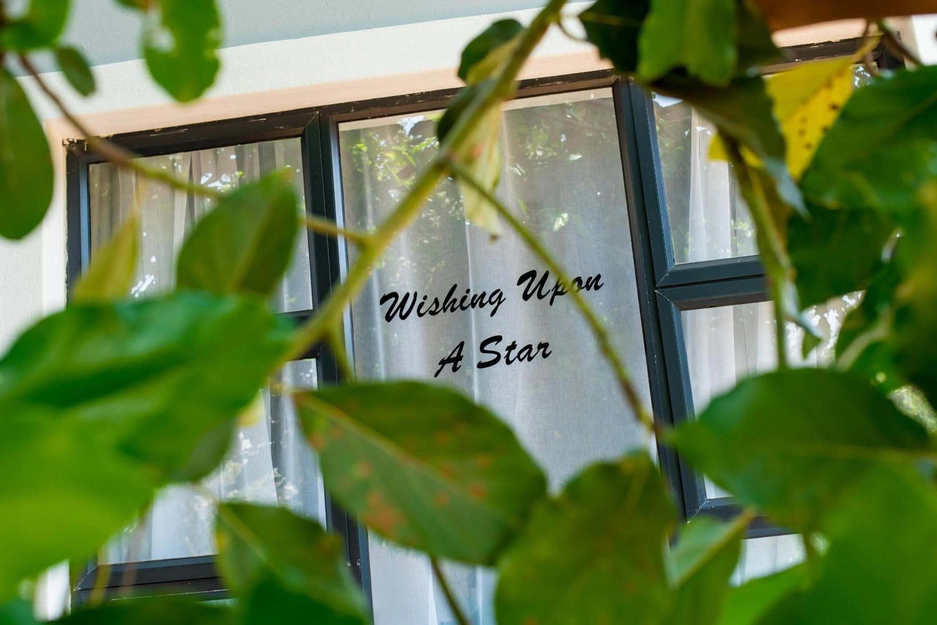 Garden view in Mt Pleasant Bed and Breakfast Ltd