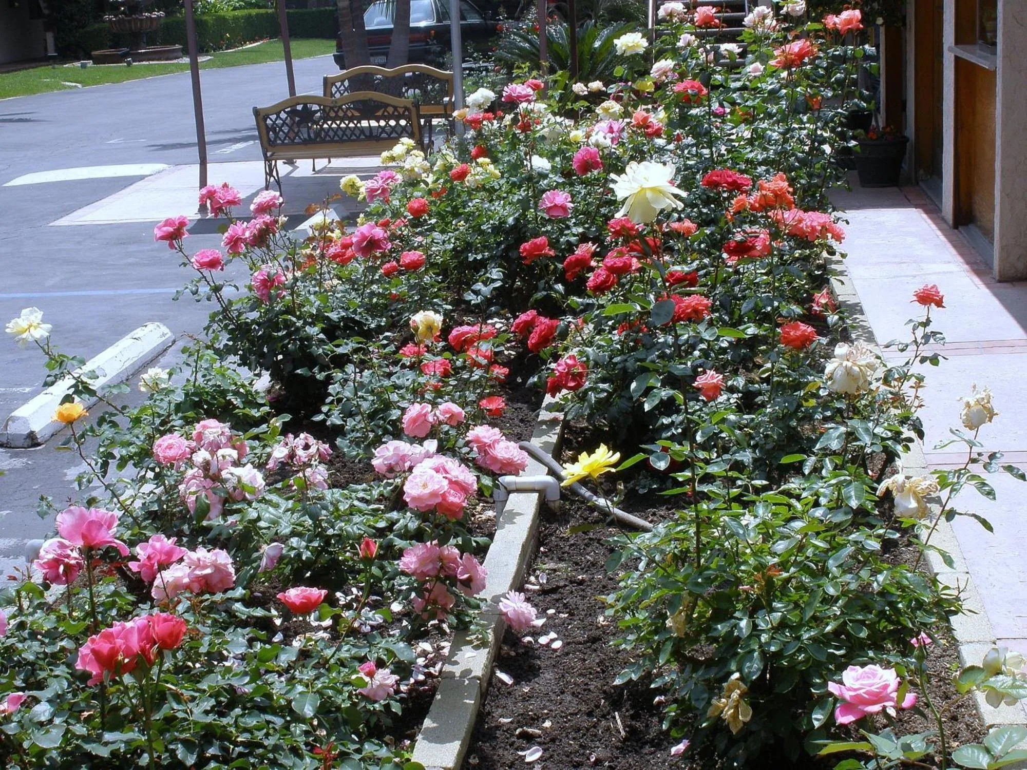 Decorative detail in Garden Inn and Suites Glendora