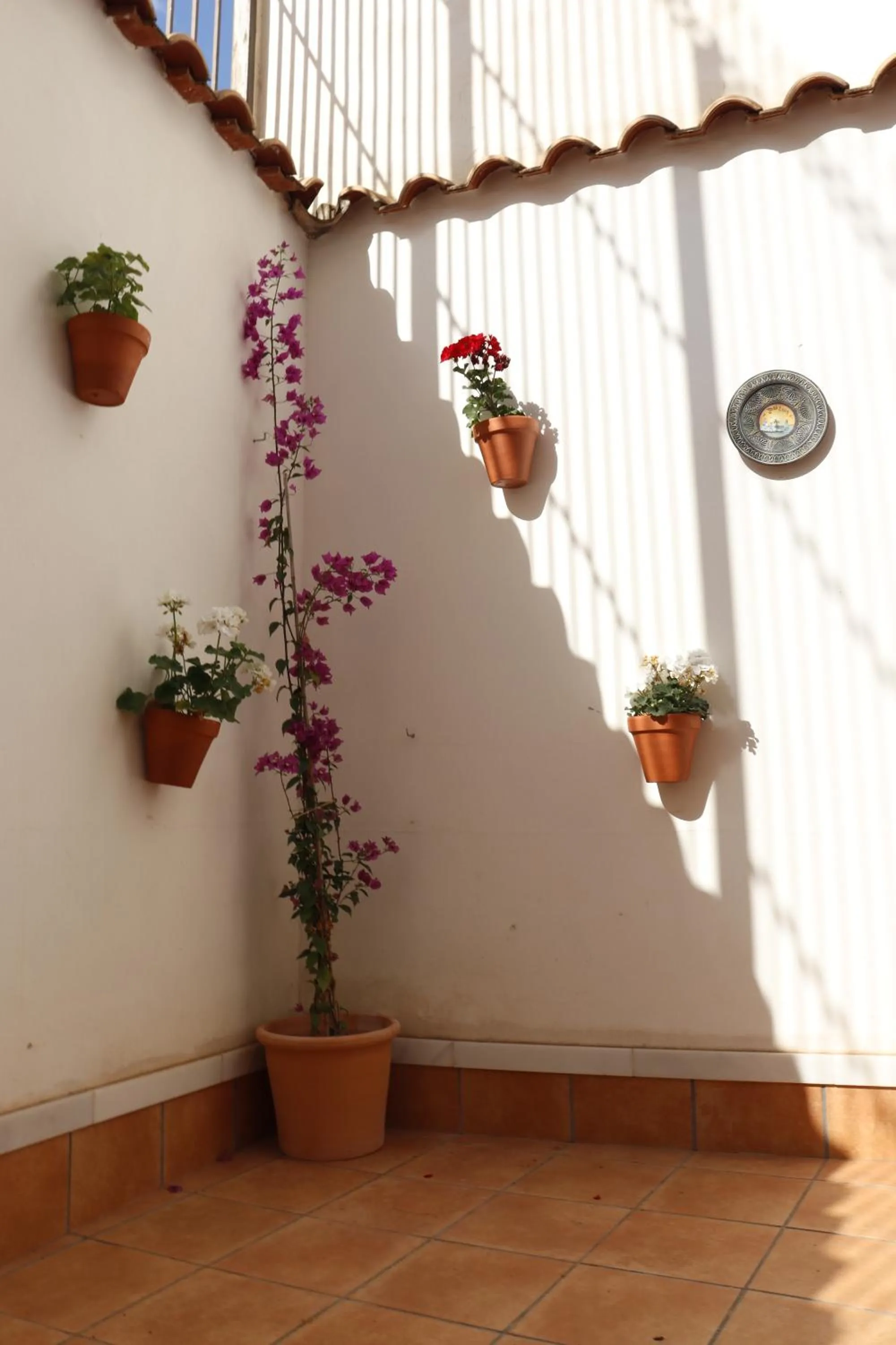 Balcony/Terrace in Don Paula