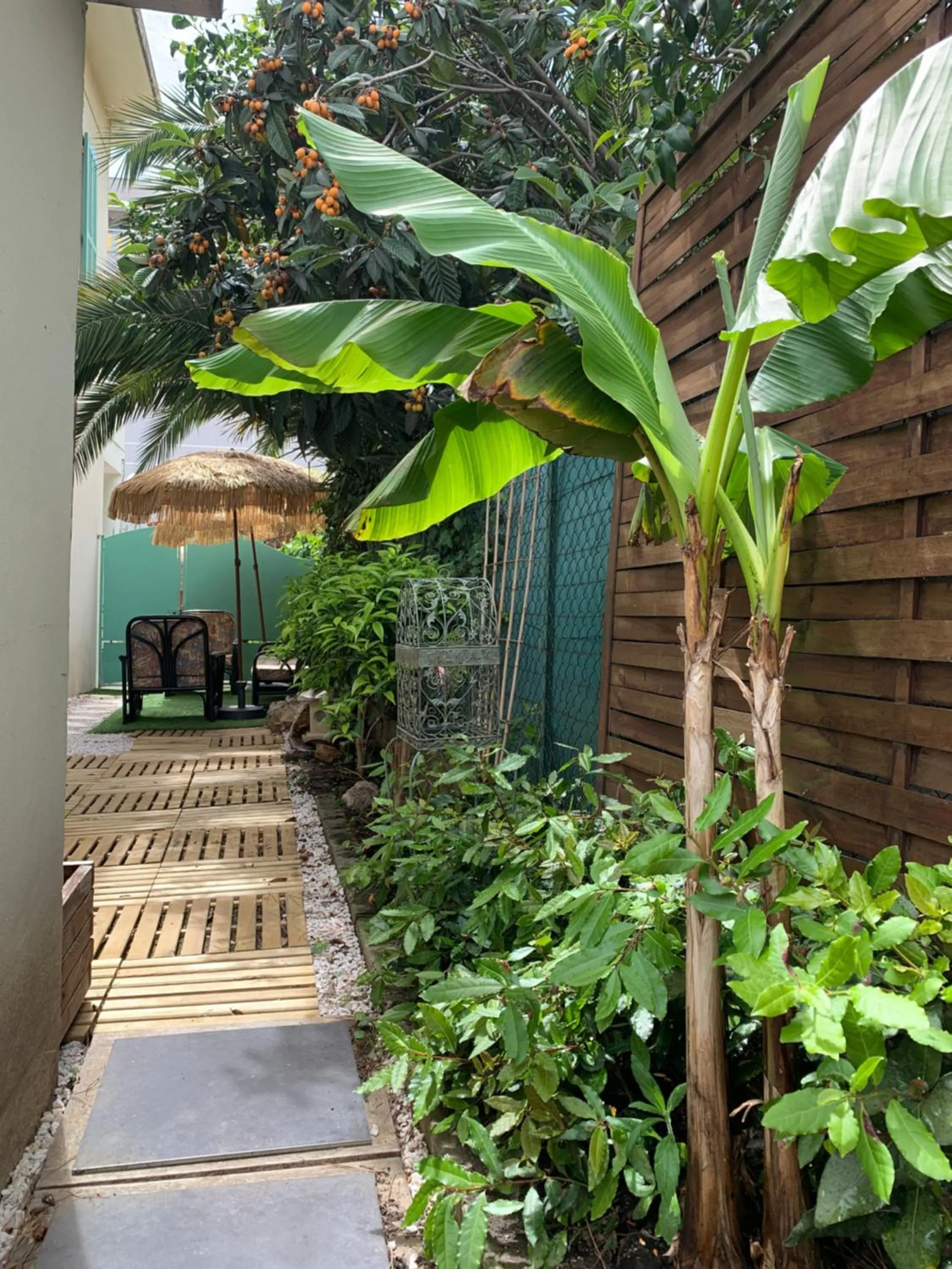 Garden in Hôtel La Villa des Oliviers