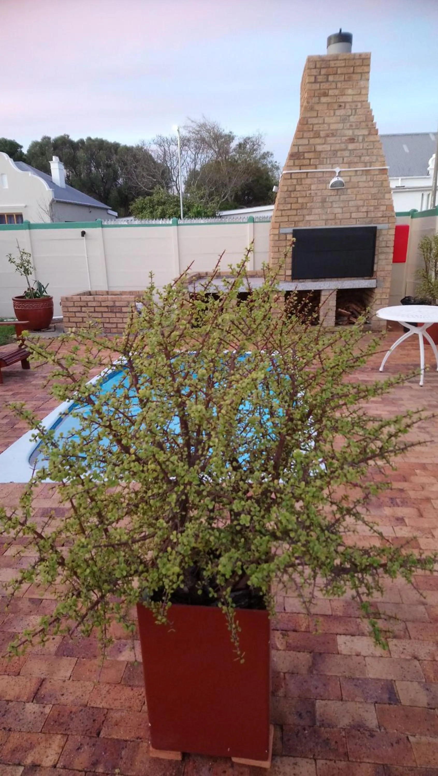 Patio in Welterusten Guesthouse
