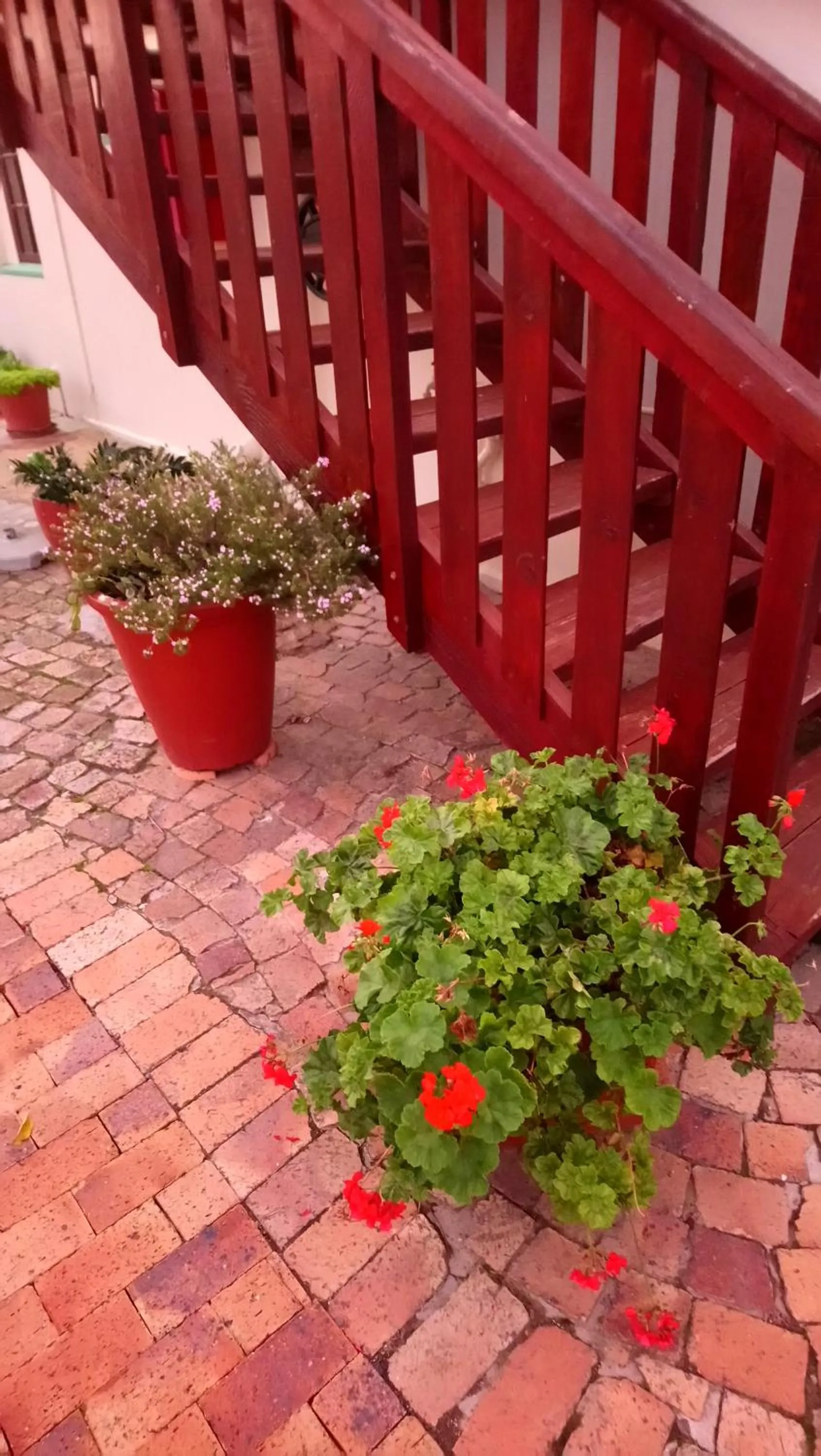 Patio in Welterusten Guesthouse