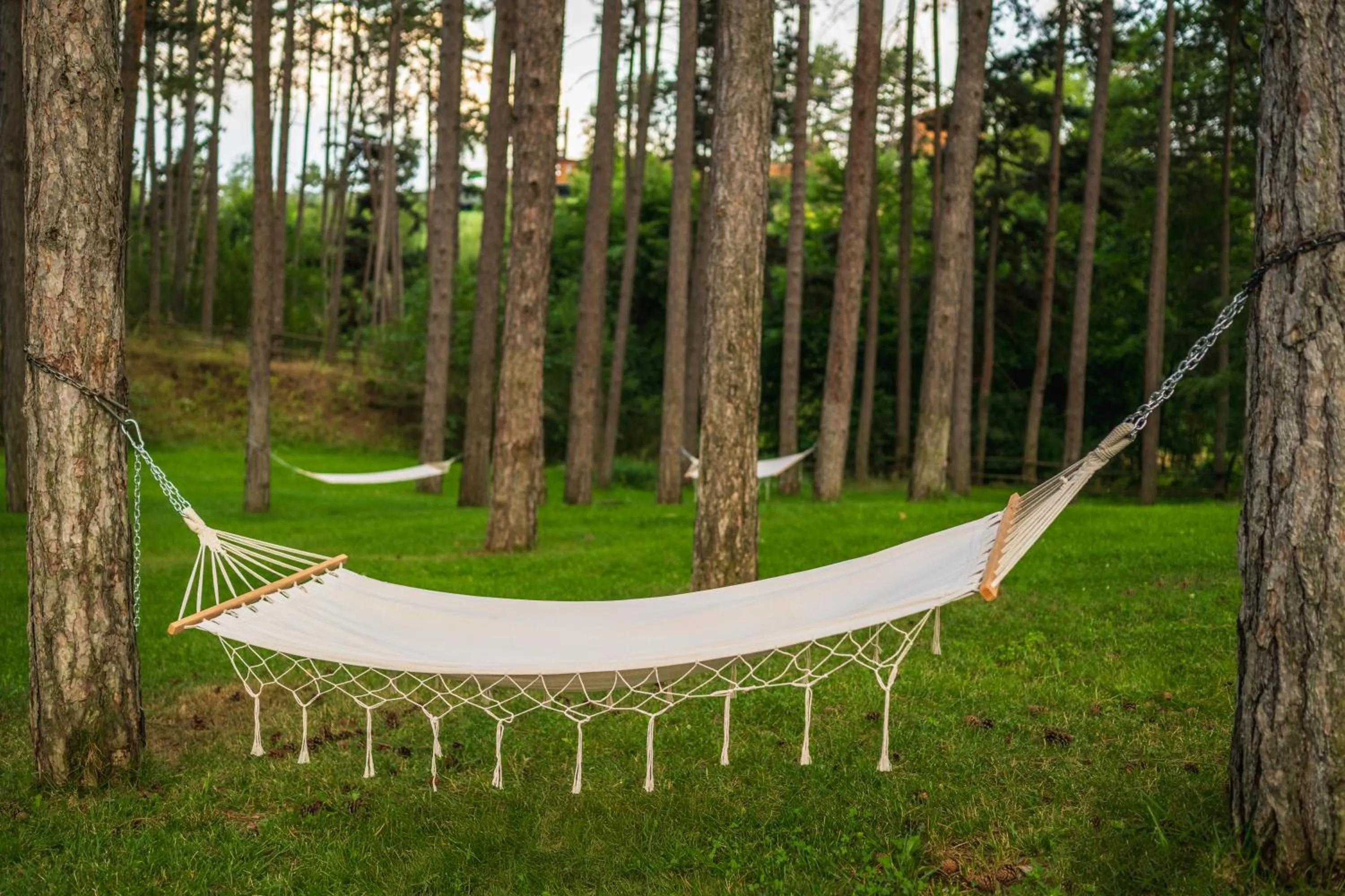 SPA Hotel Infinity Park Velingrad