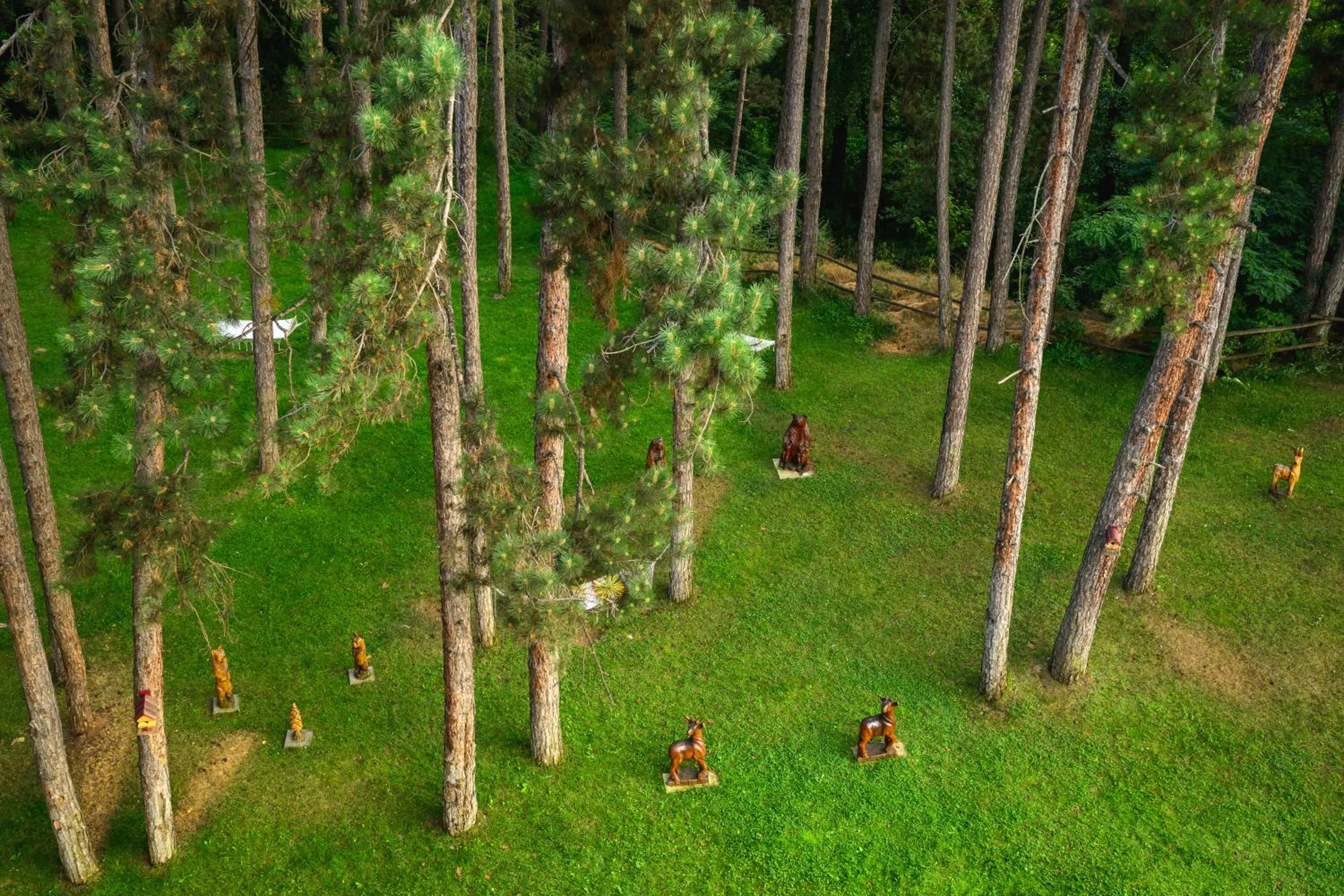 SPA Hotel Infinity Park Velingrad