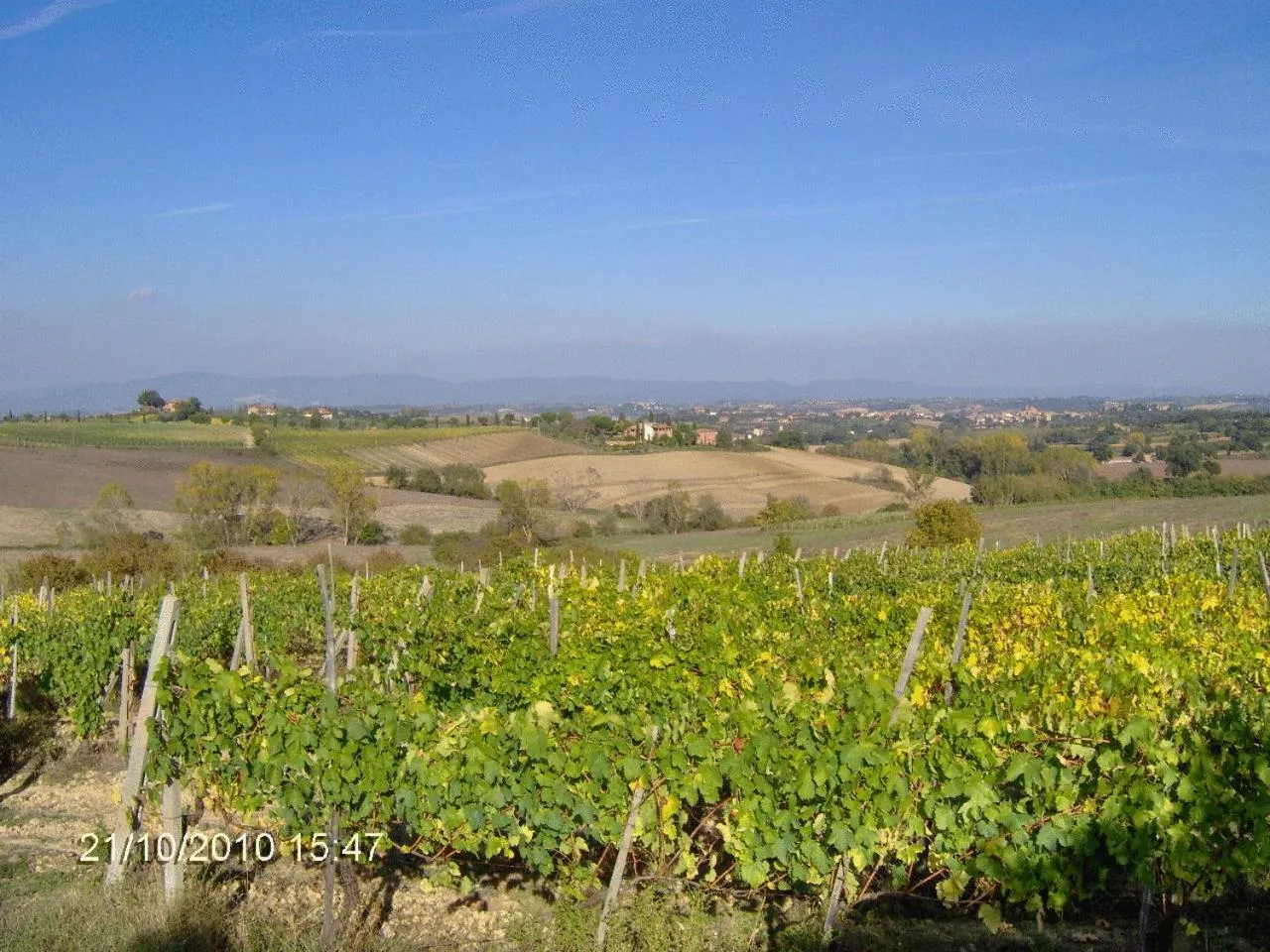 Area and facilities in Tenuta Santagnese