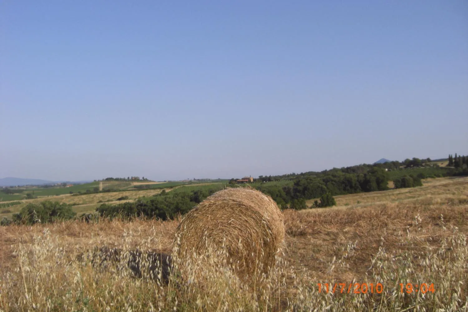 Area and facilities in Tenuta Santagnese