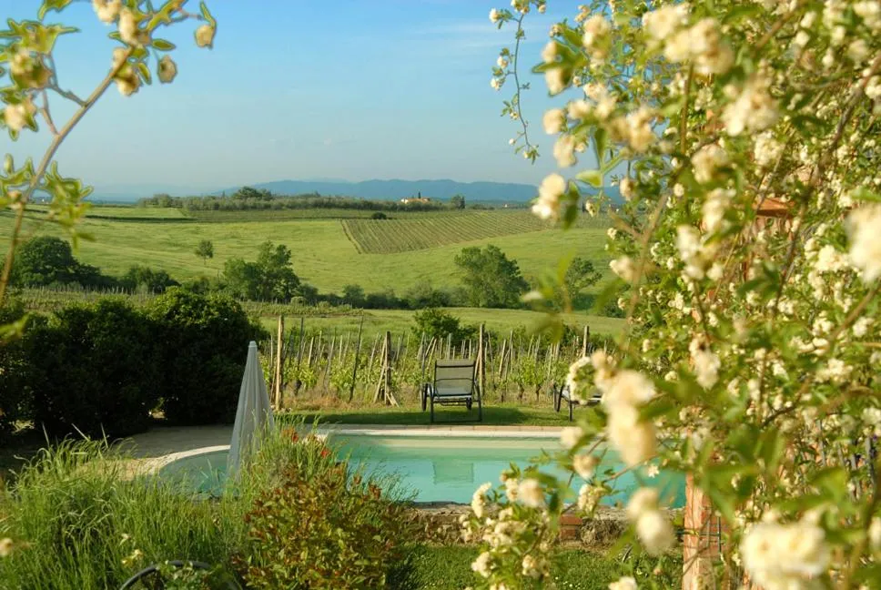 Swimming pool in Tenuta Santagnese