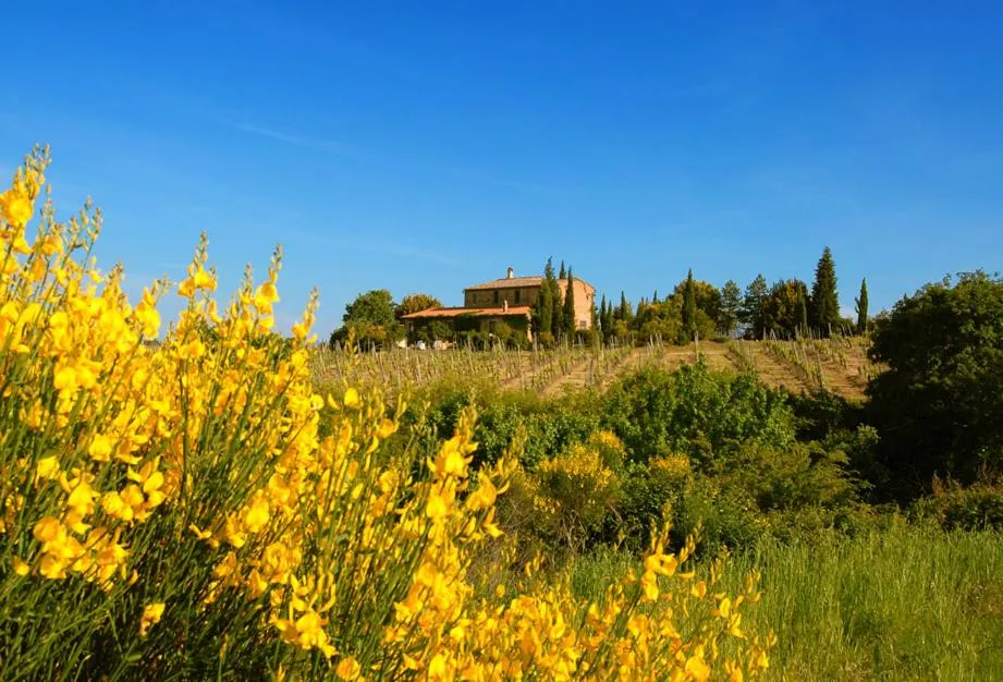 Other in Tenuta Santagnese