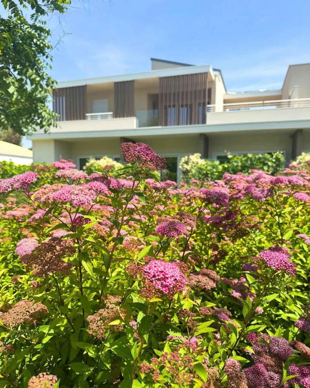 Property building in SeaPark SPA Resort