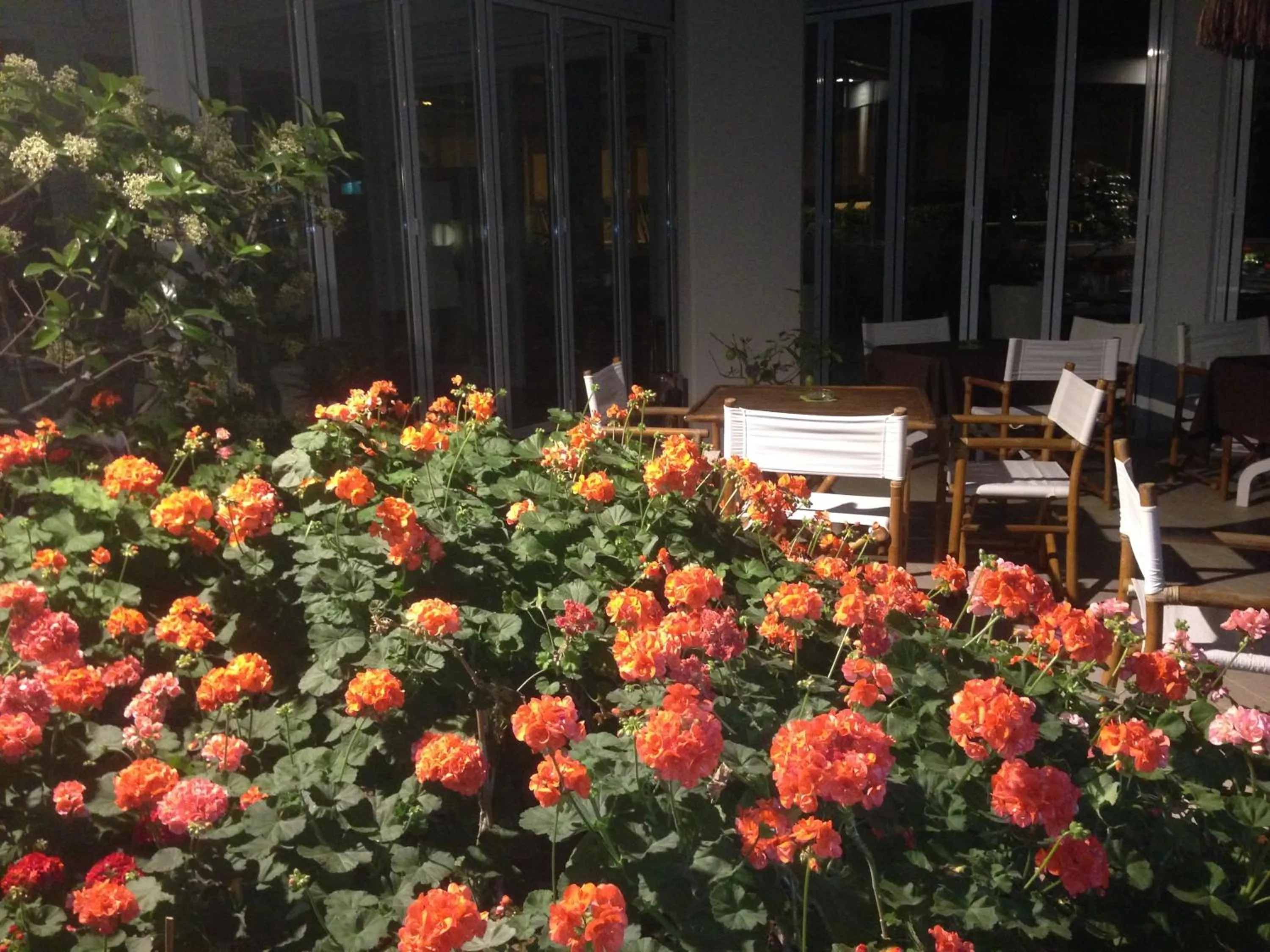 Garden in SeaPark SPA Resort