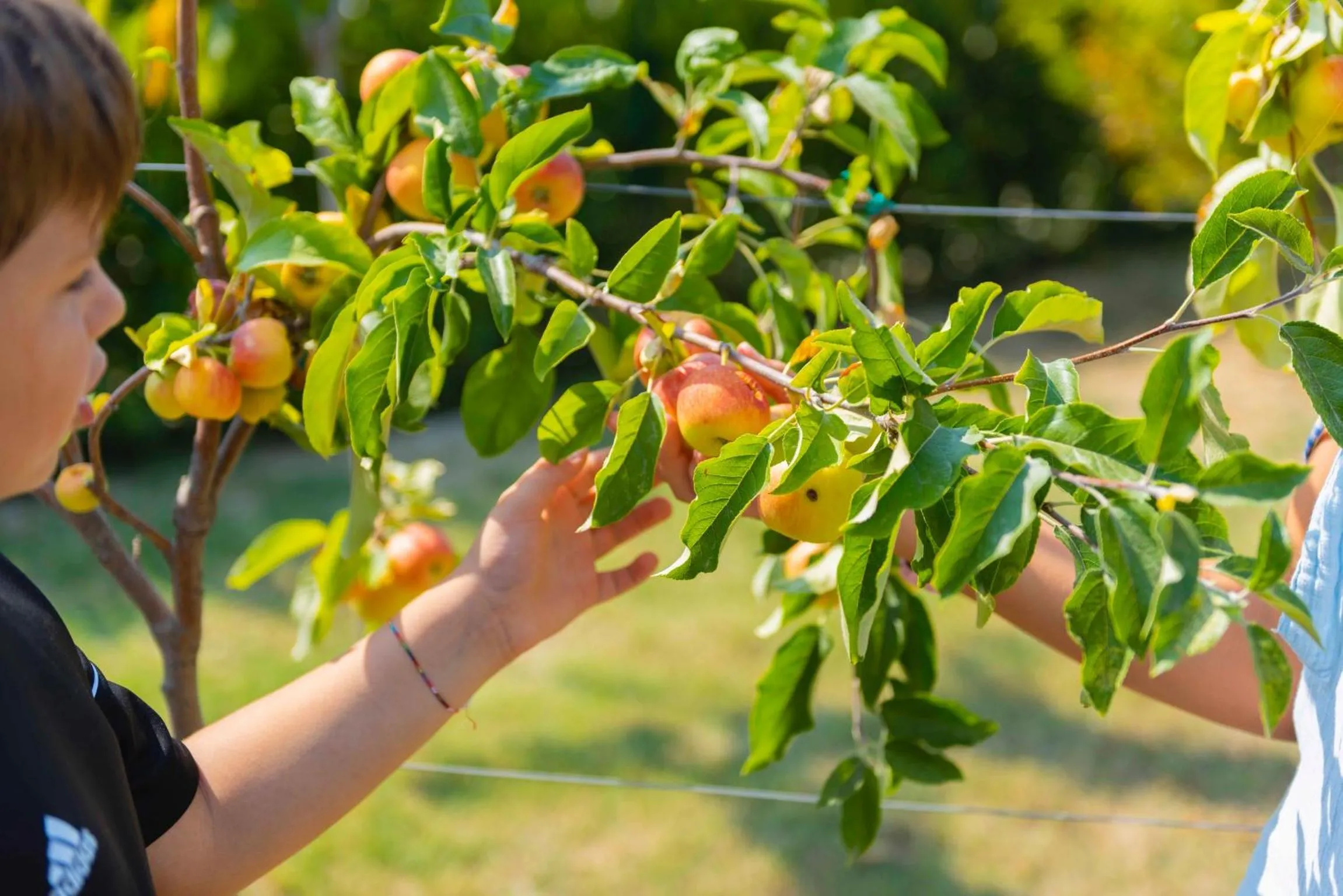 Kids's club in SeaPark SPA Resort