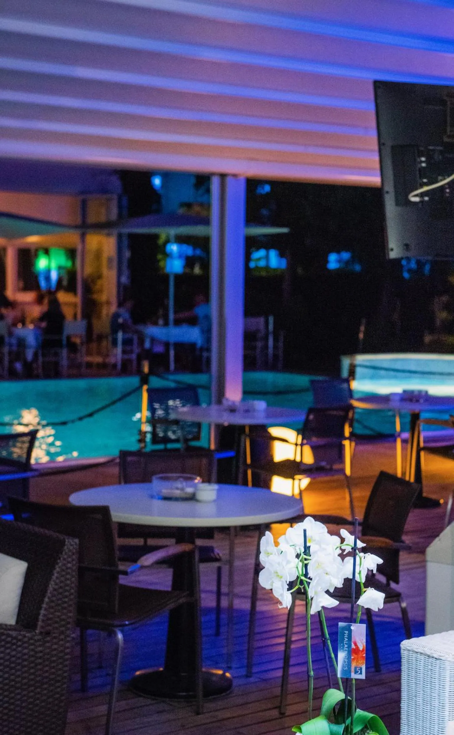 Lounge or bar in SeaPark SPA Resort