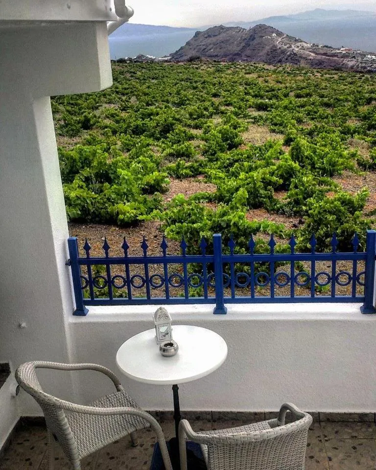 Day in Villa Happening