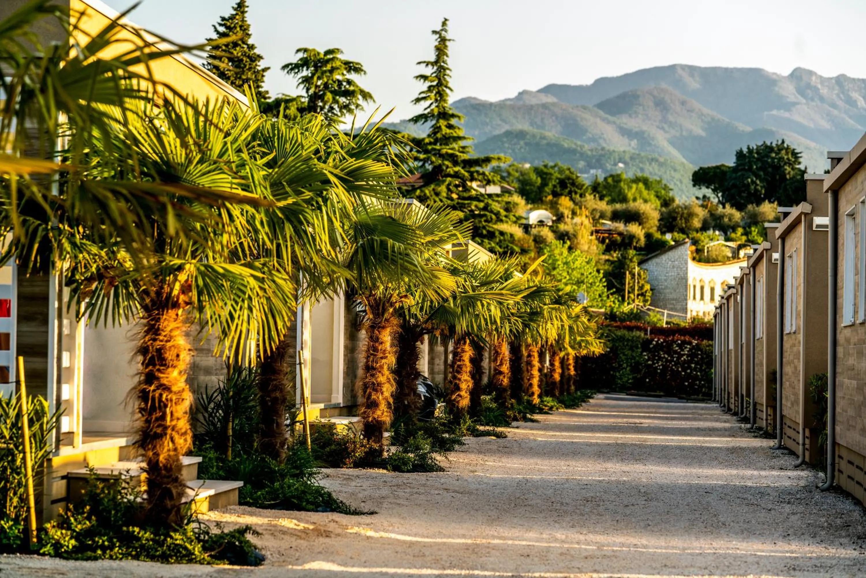 Area and facilities in Onda Blu Resort