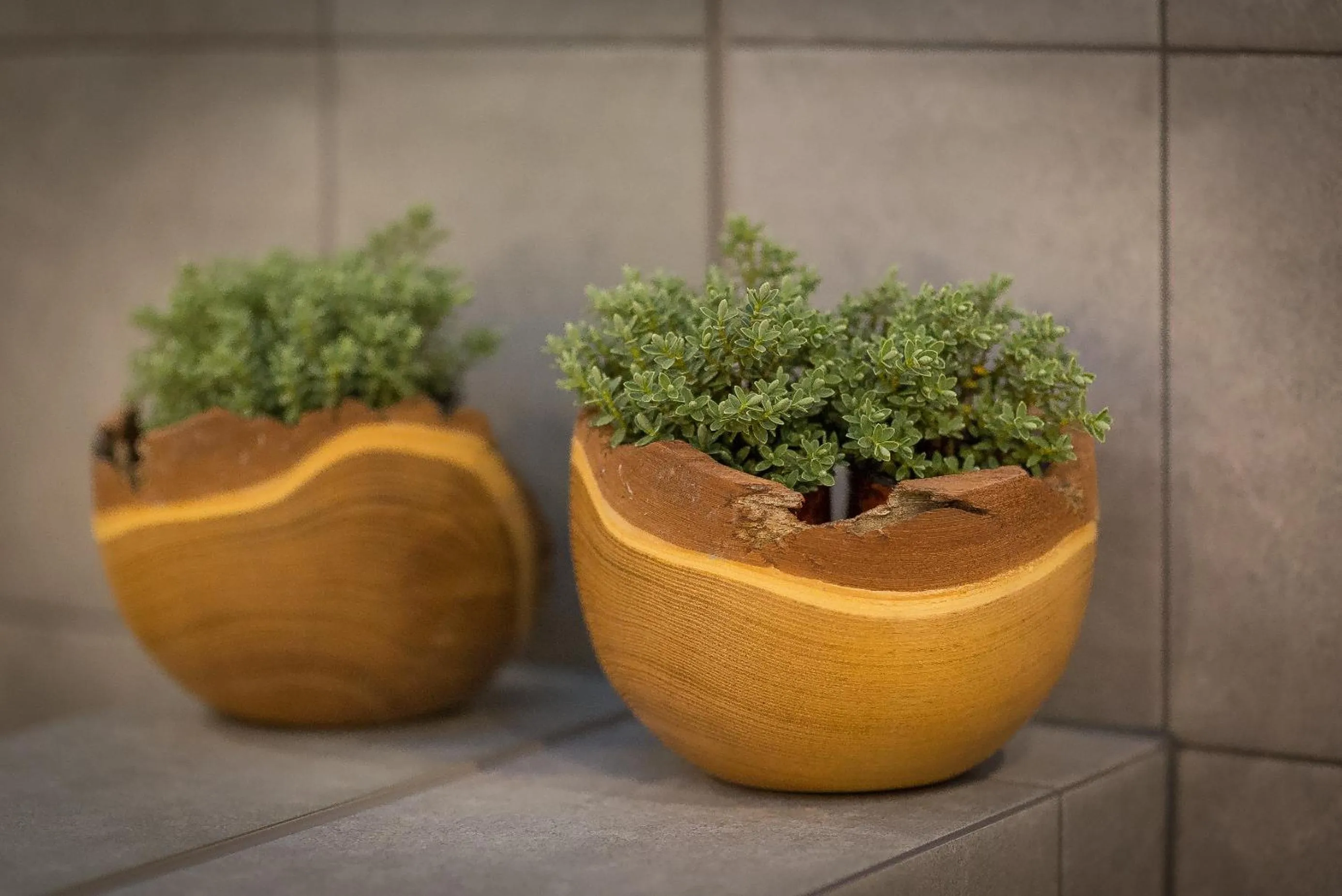 Bathroom in Stacja Zakopane - Apartamenty w centrum