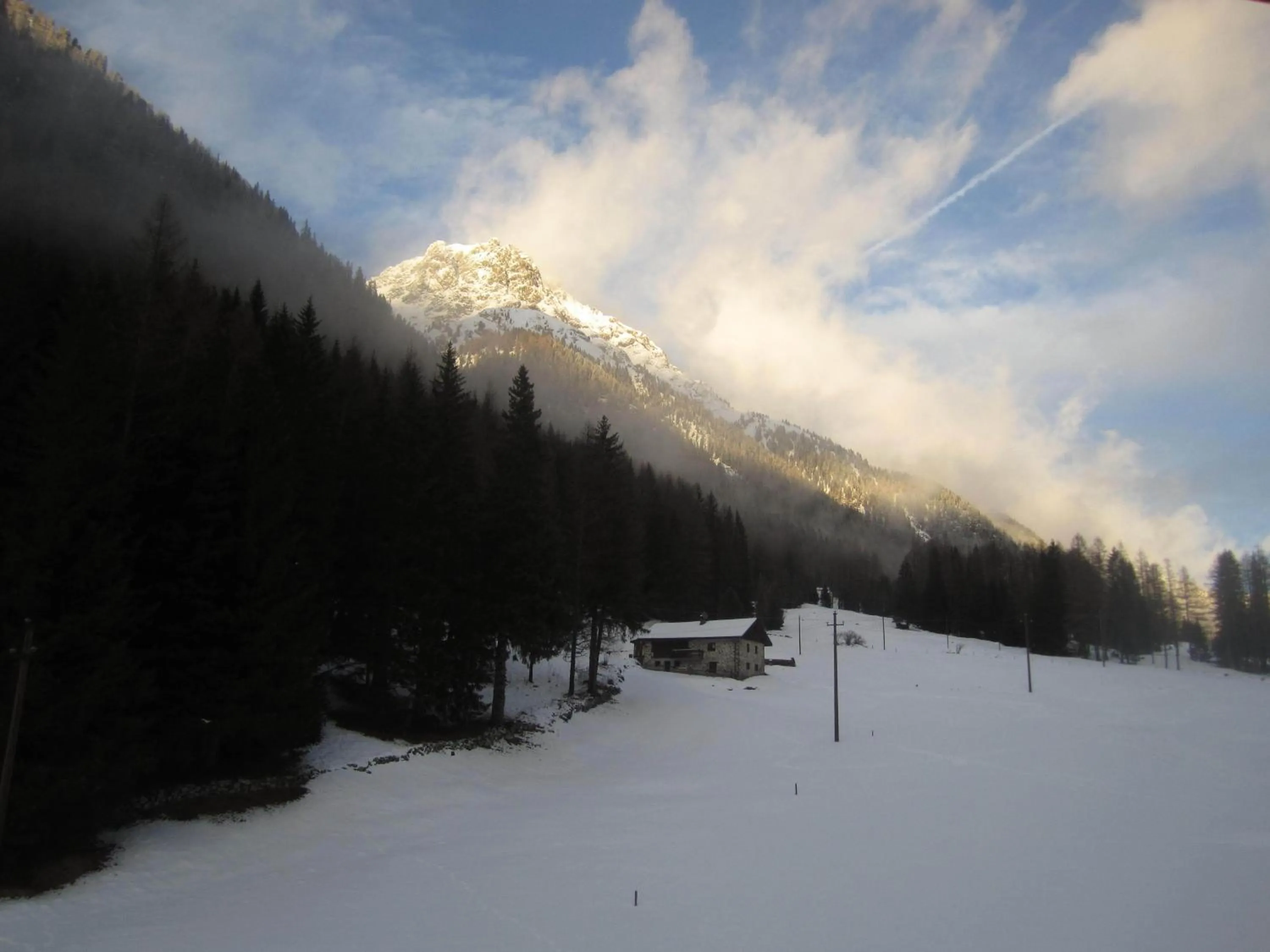 Area and facilities in Hotel Bucaneve