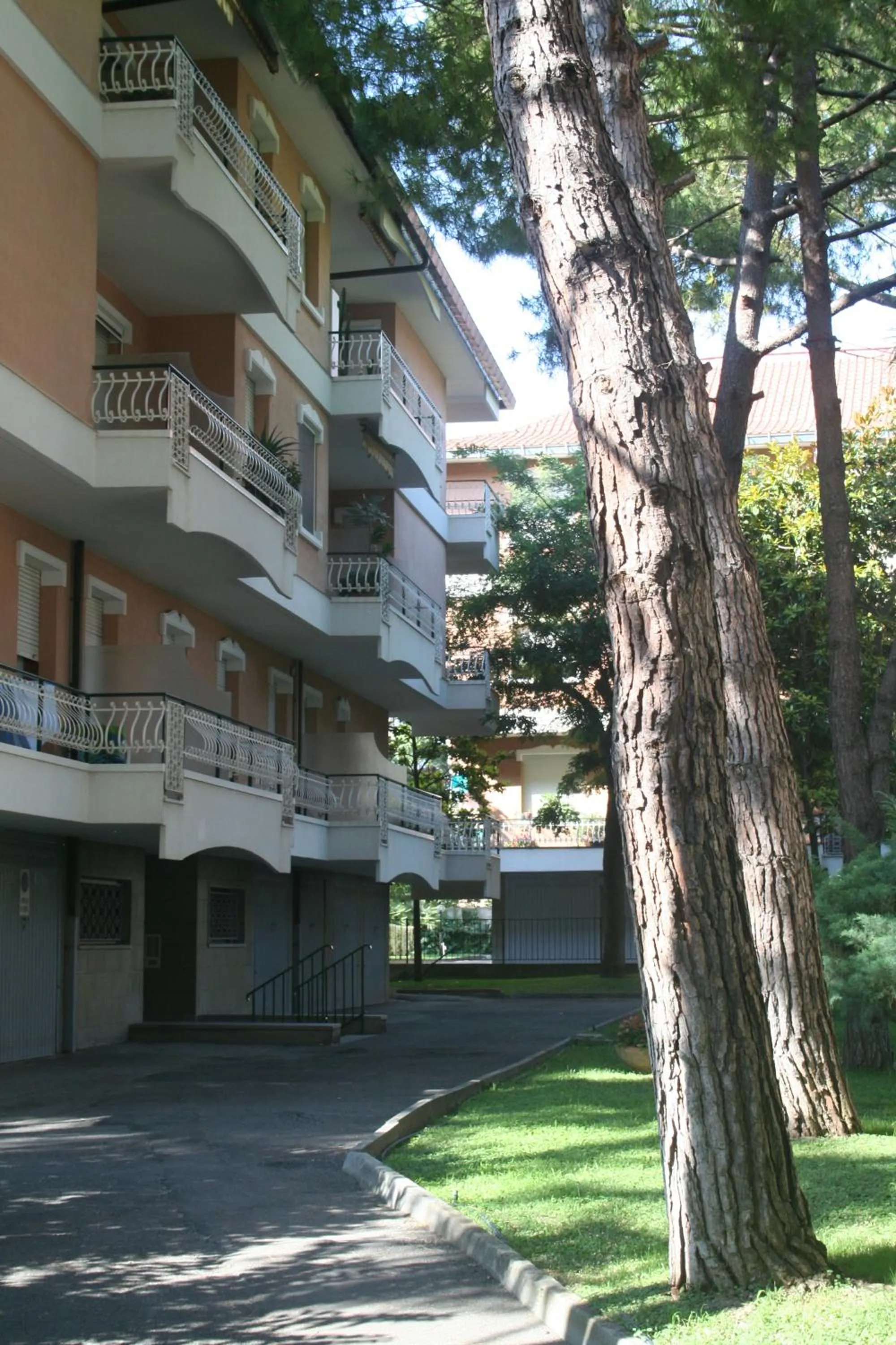 bigarella 16